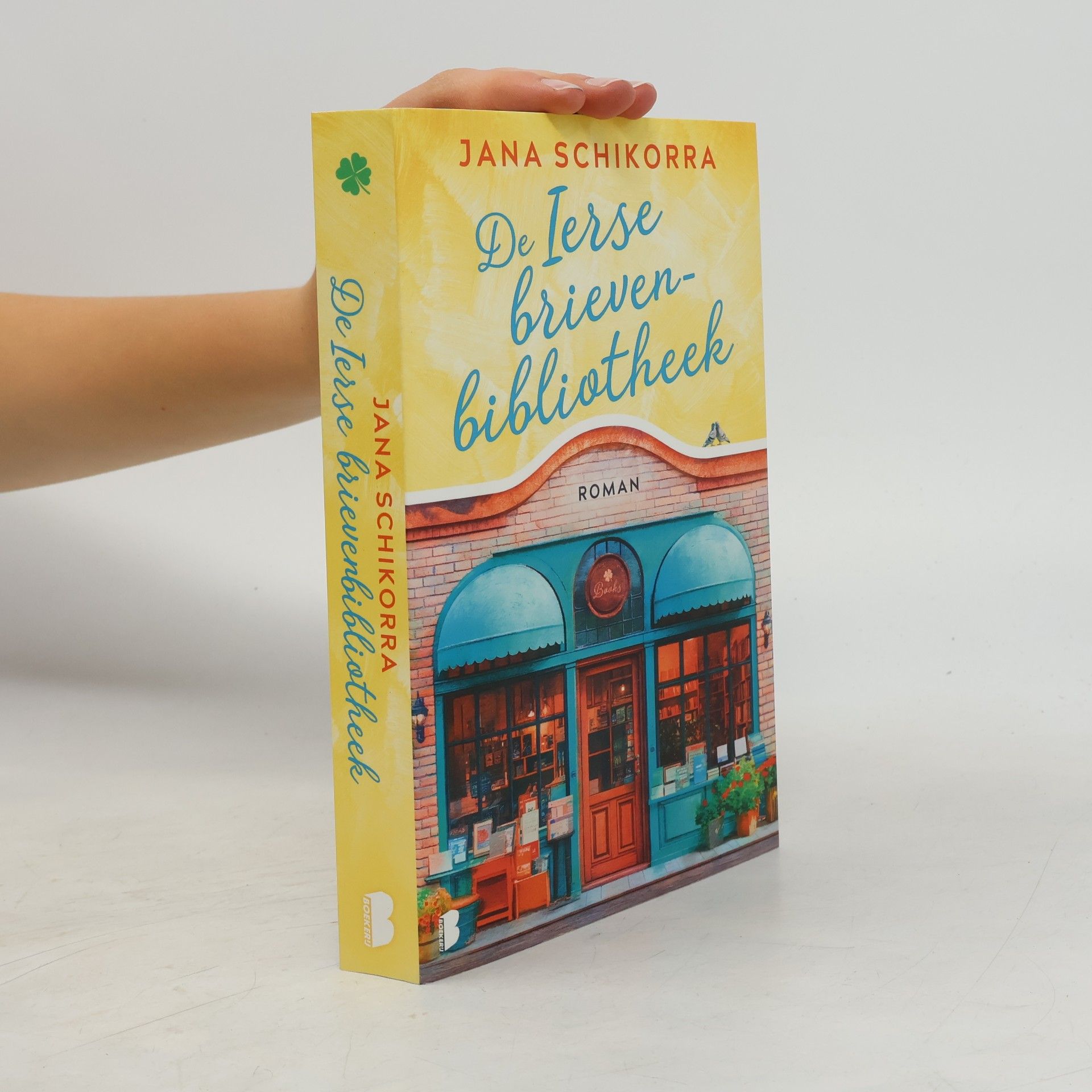Davida van Dijke Iers geluk - 1: De Ierse brievenbibliotheek