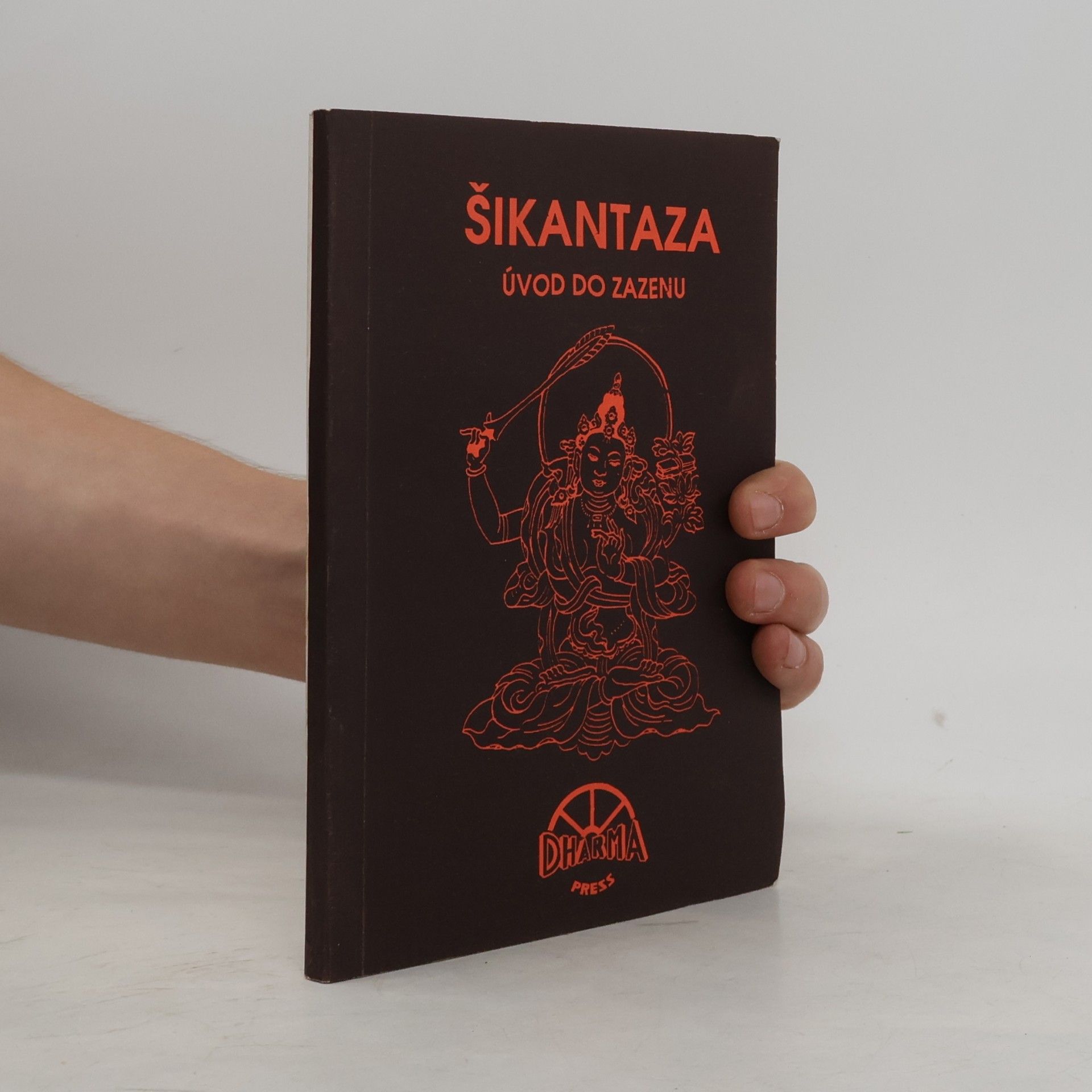 Collectif d'auteurs Šikantaza: Úvod do zazenu