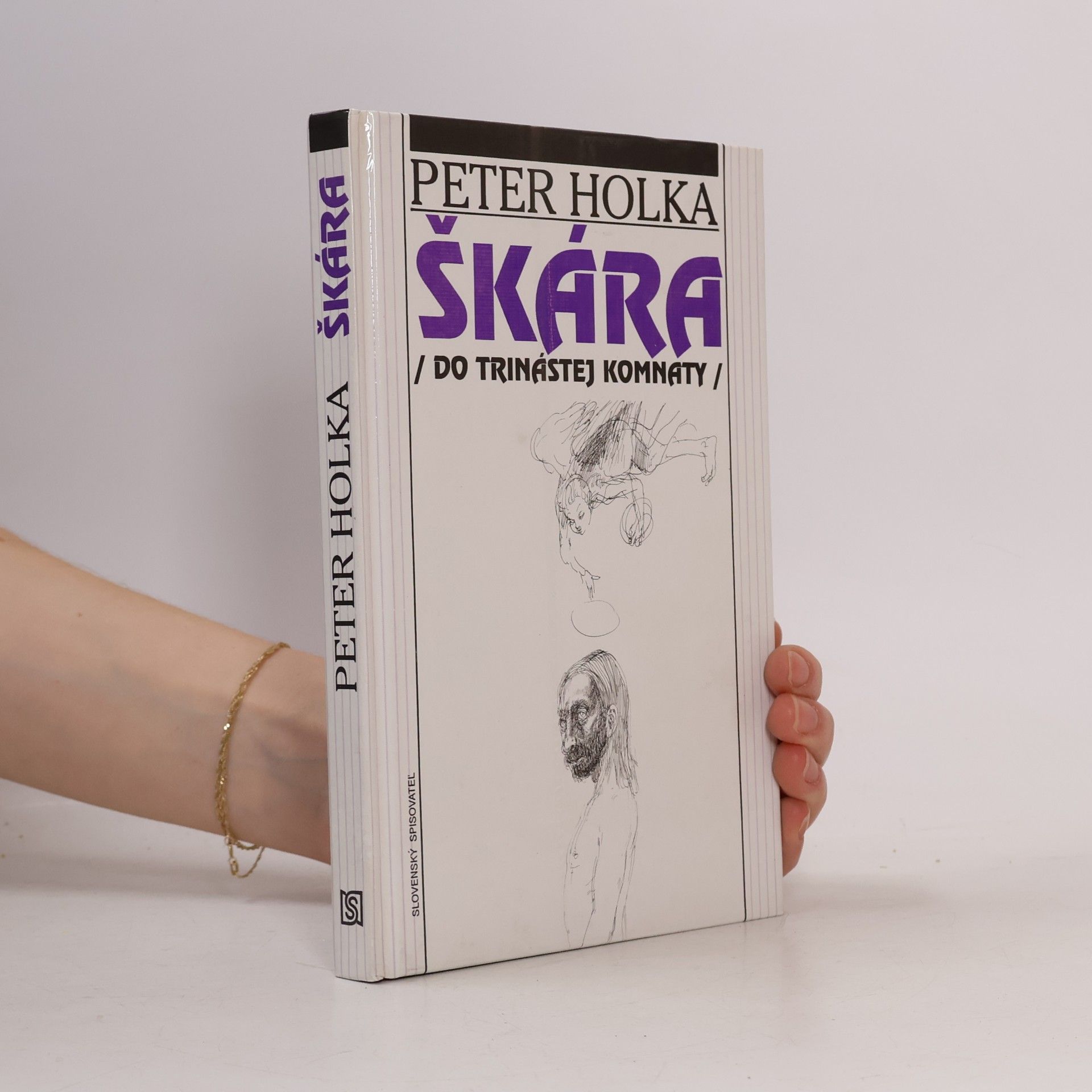 Peter Holka Škára (do trinástej komnaty)