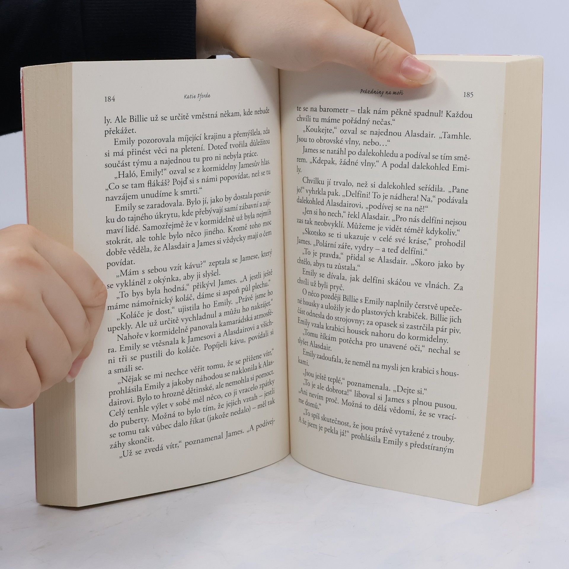 Katie Fforde Prázdniny na moři