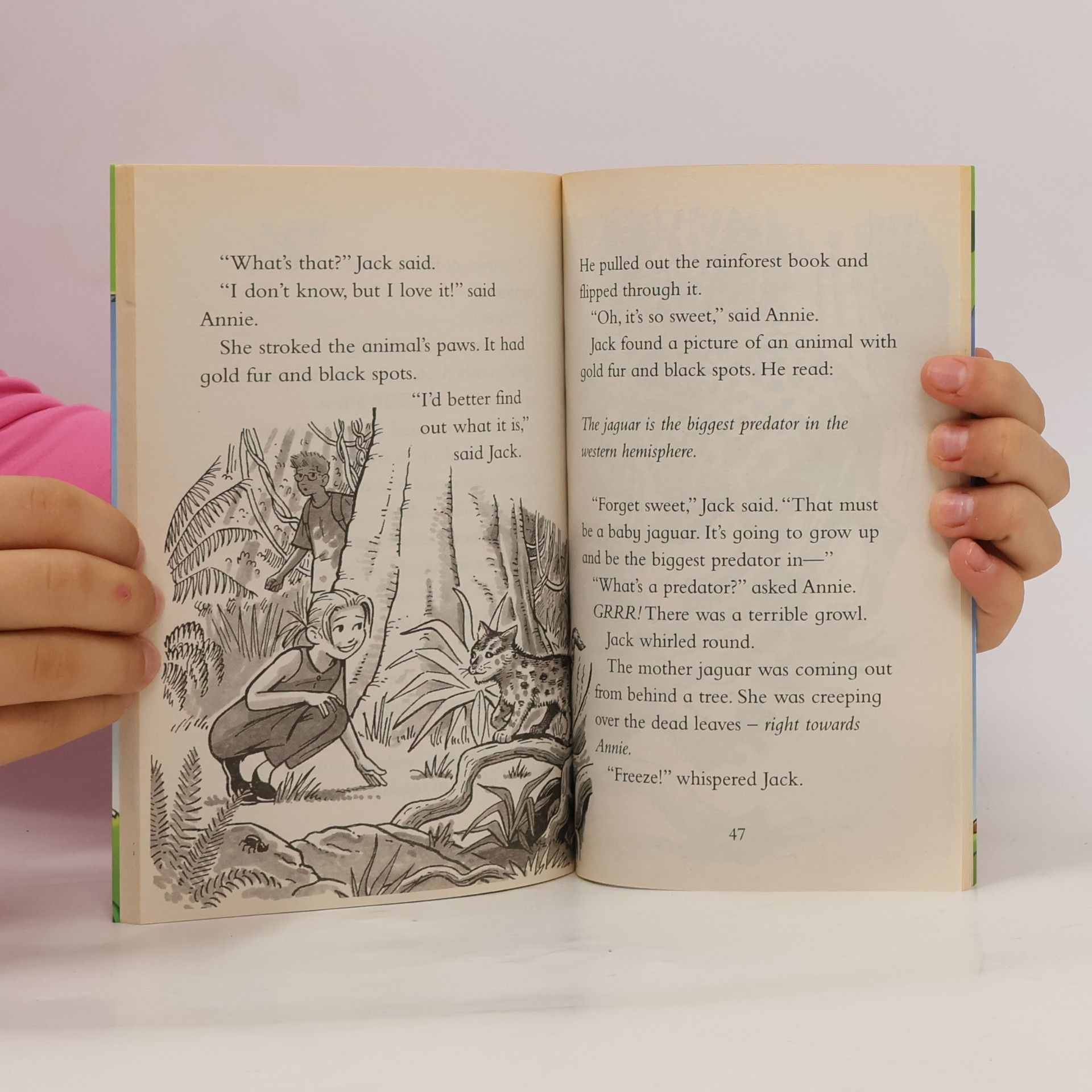 Mary Pope Osborne Magic Tree House ADVENTURE on the AMAZON