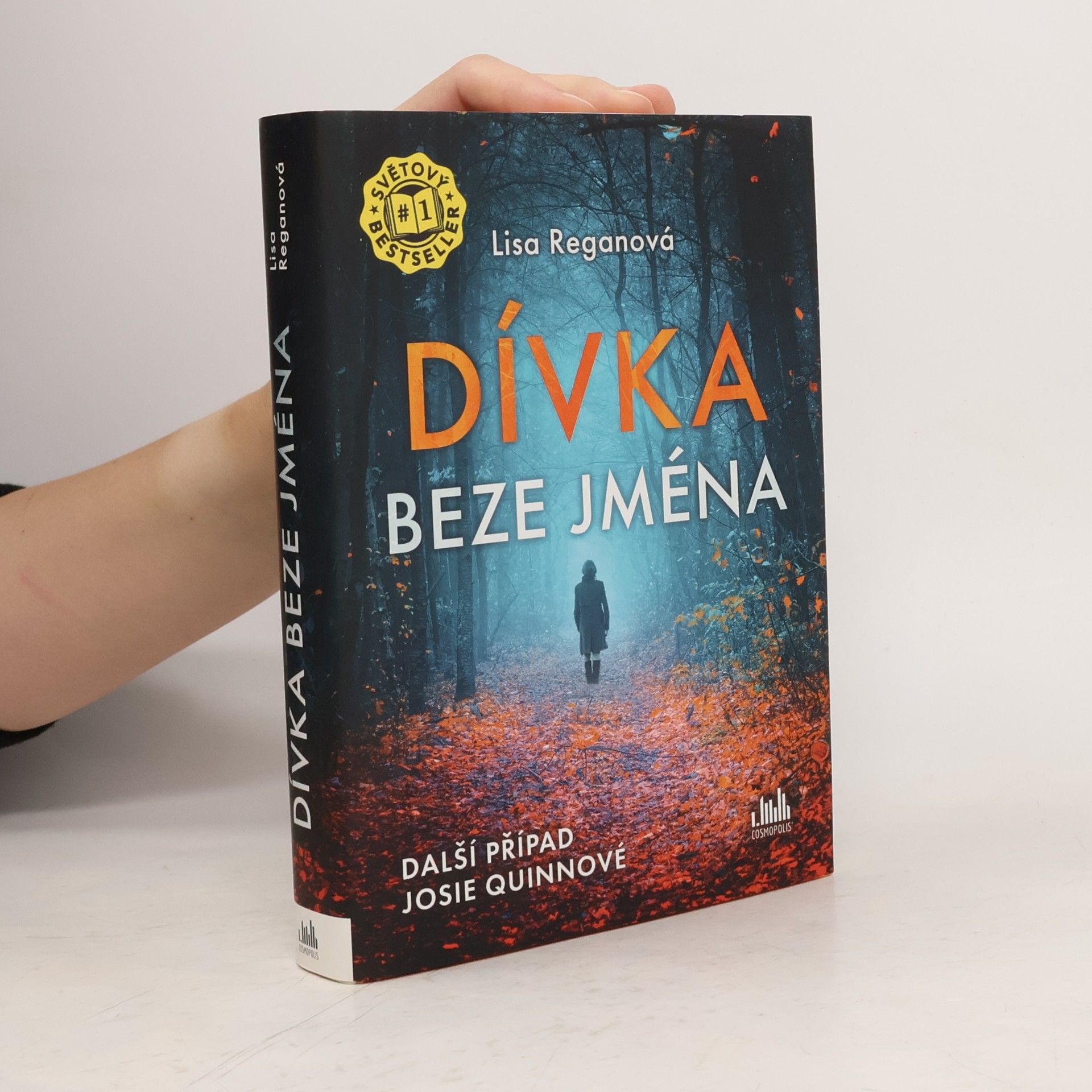 Lisa Regan Dívka beze jména: Další případ Josie Quinnové