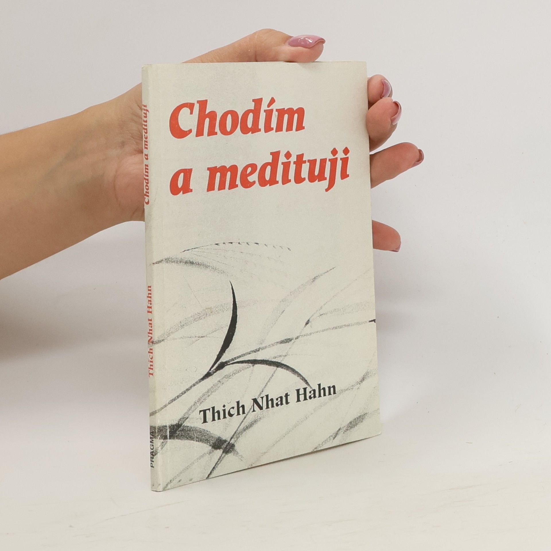 Chodím a medituji