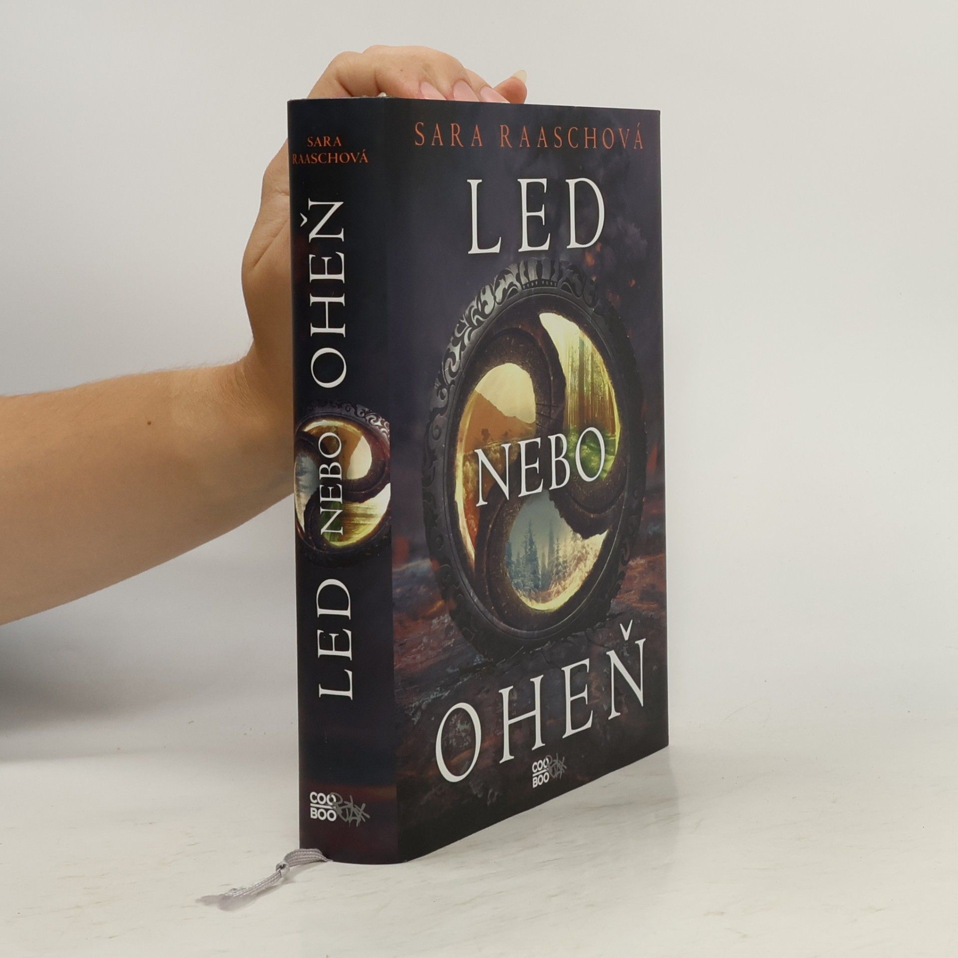 Sara Raasch Led nebo oheň