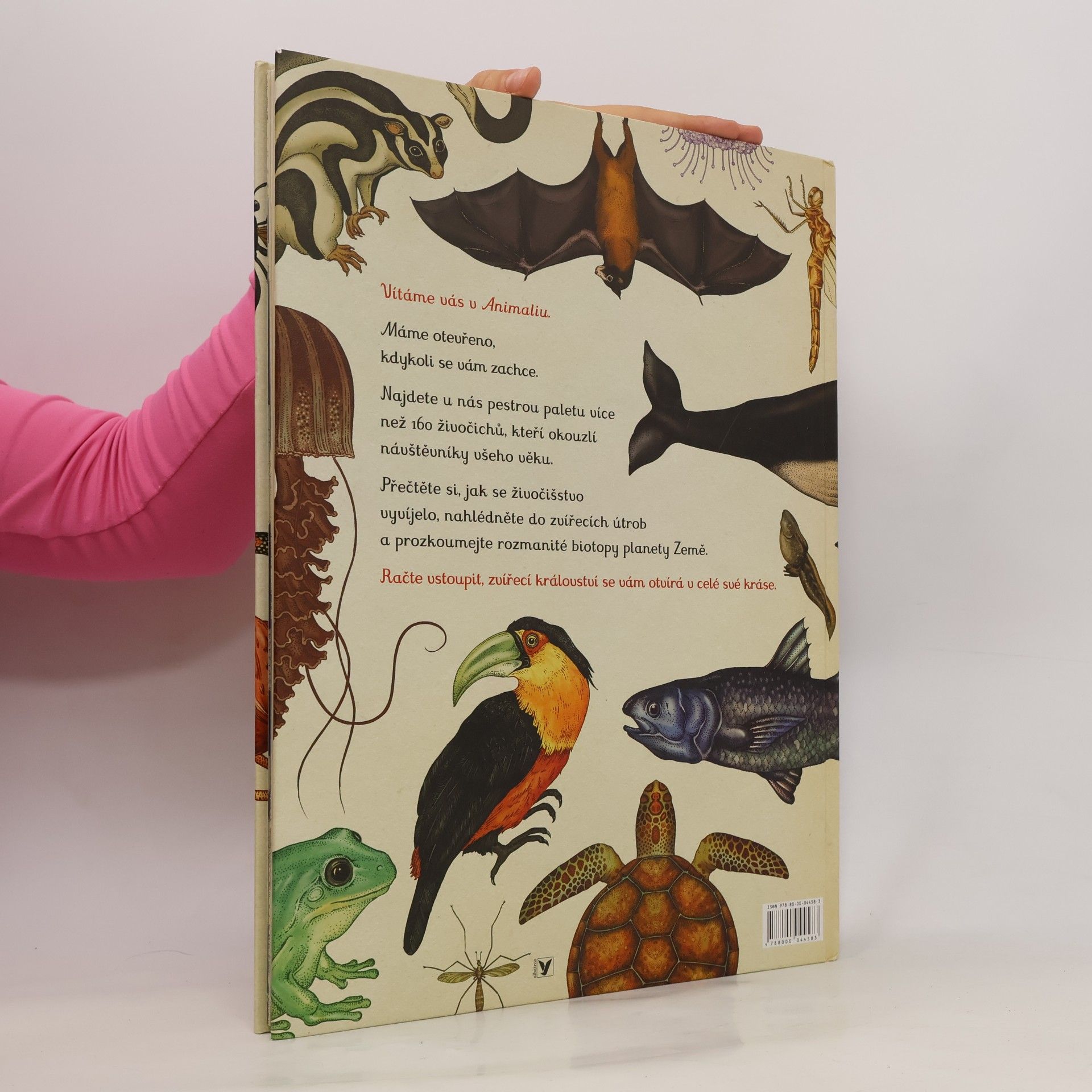 Katie Scott Animalium