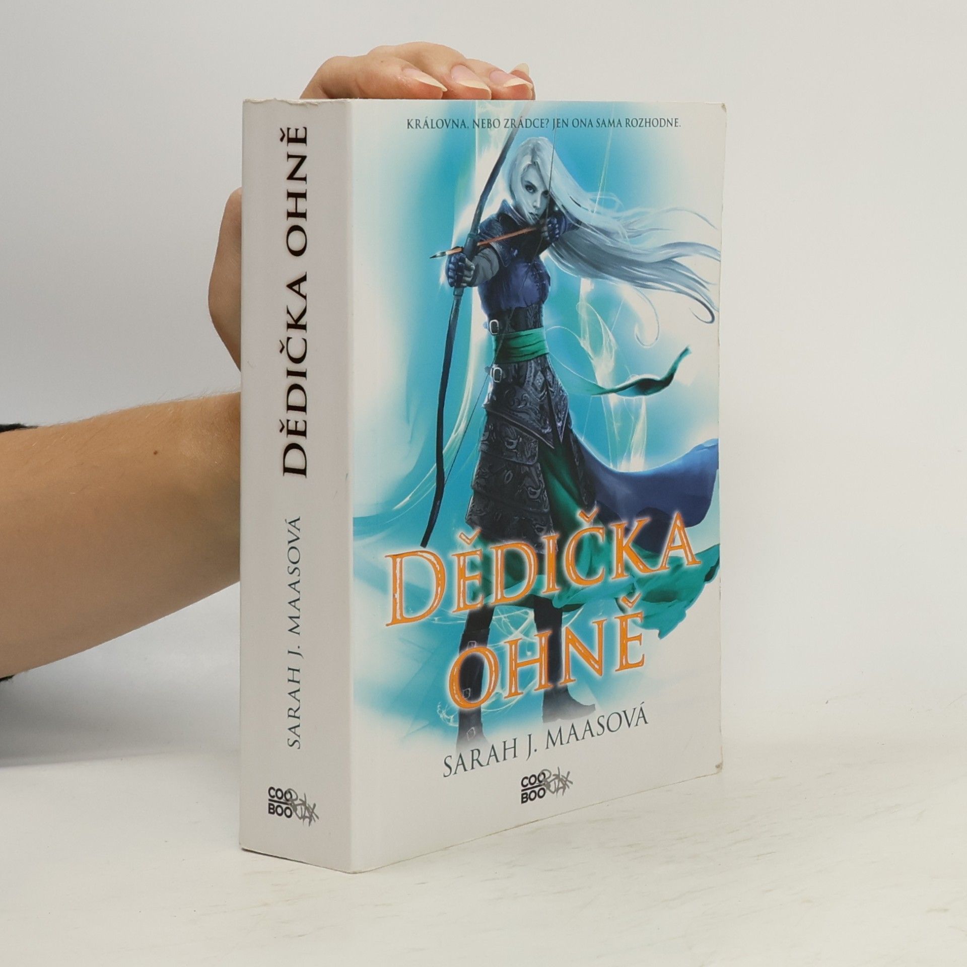 Sarah J. Maas Dědička ohně