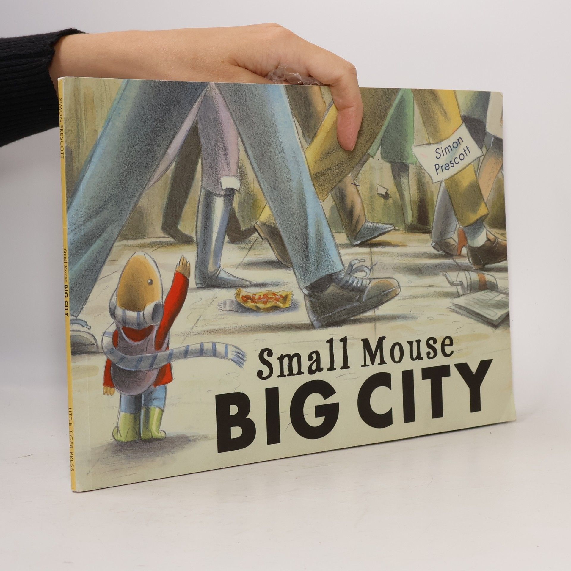 Small Mouse Big City