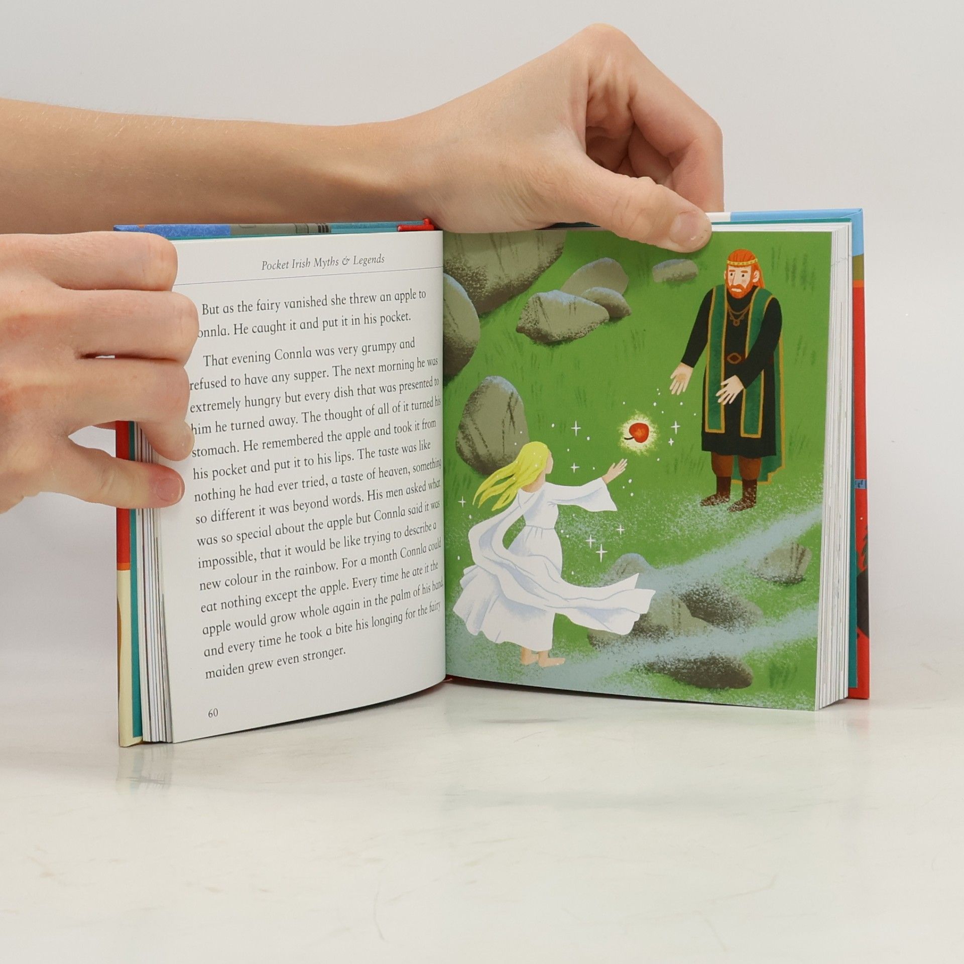 Pocket Irish Myths and Legends