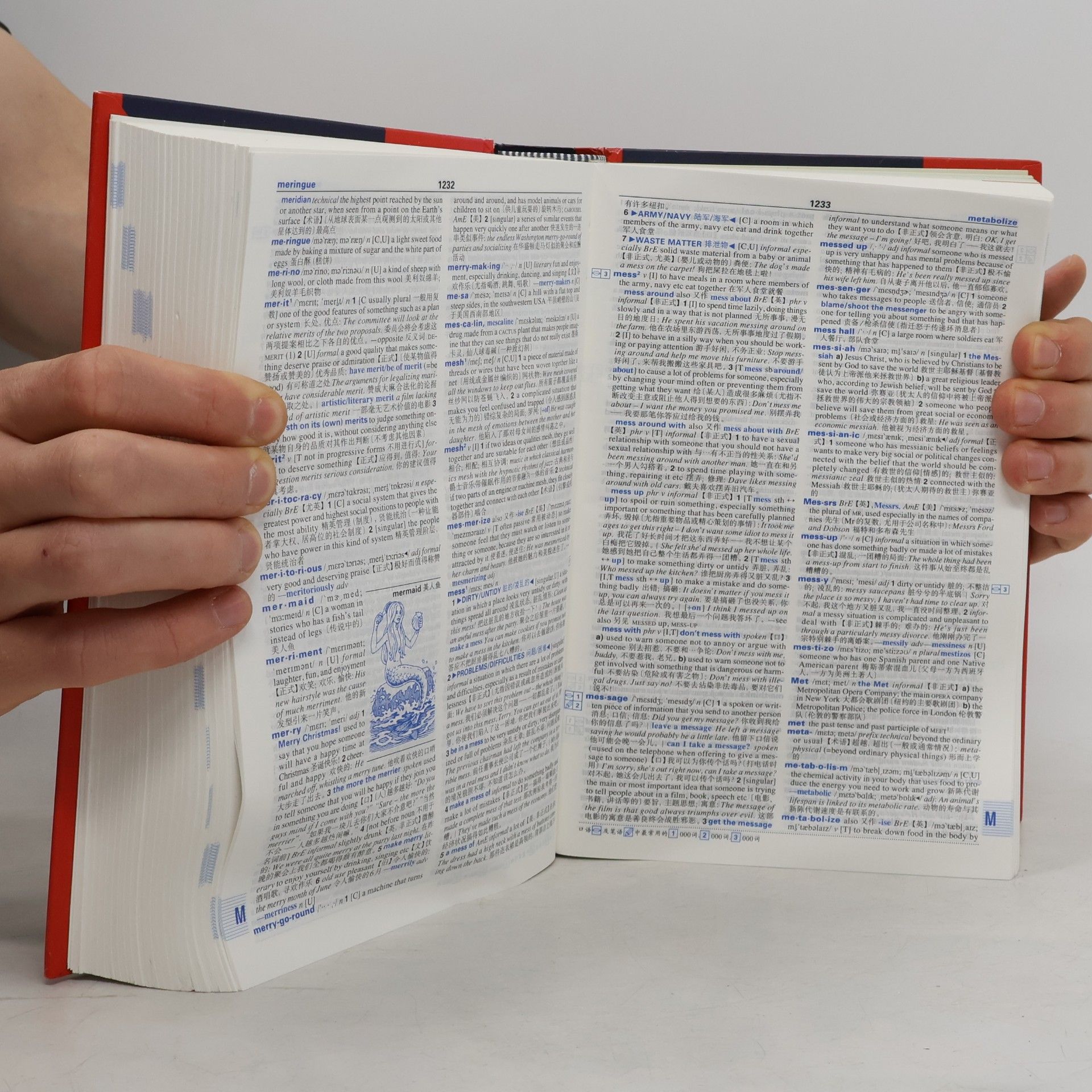 朗文当代高级英语辞典 / Longman Dictionary of Contemporary English