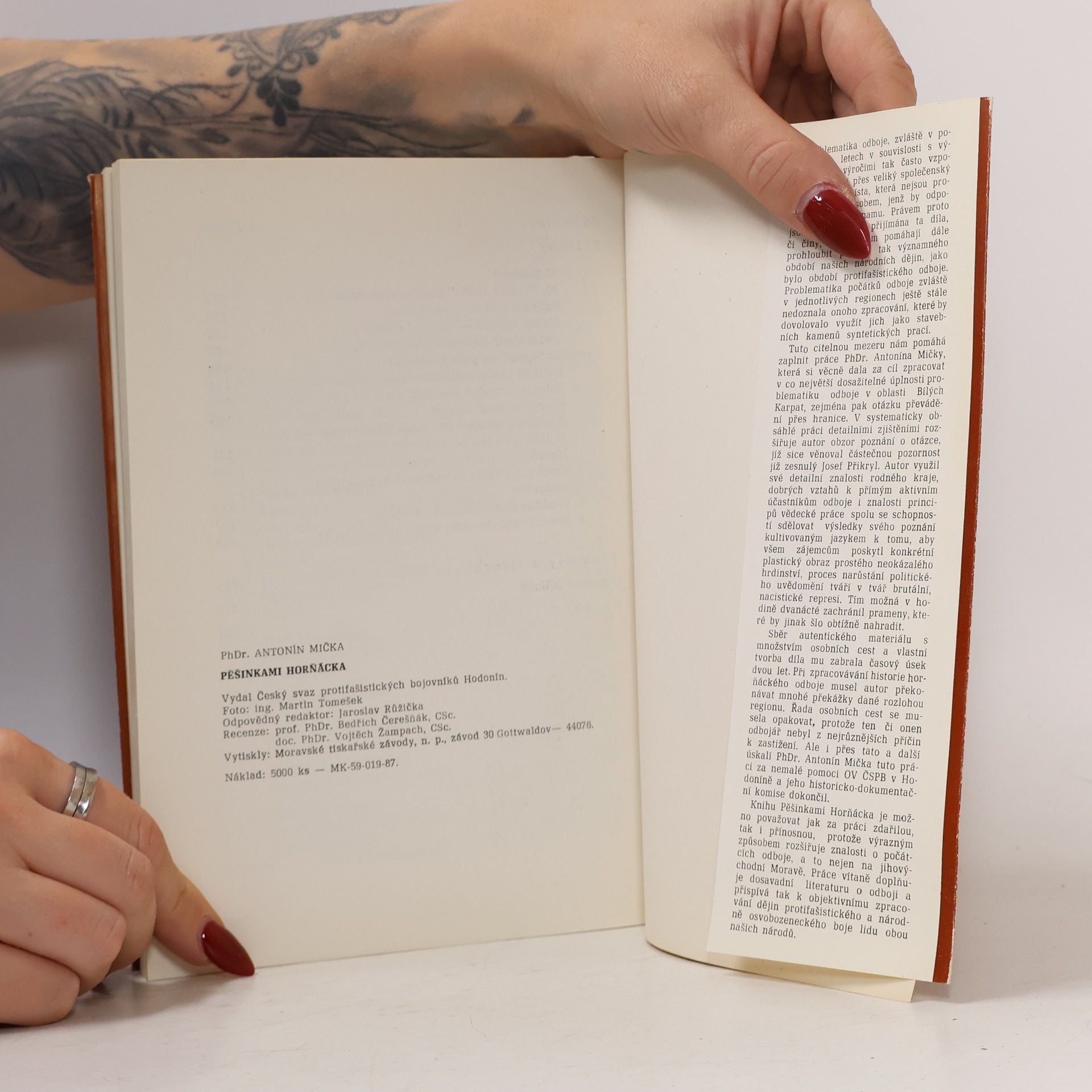 Martin Tomešek Pěšinkami Horňácka. Z historie protifašistického boje lidu na moravsko-slovenském pomezí
