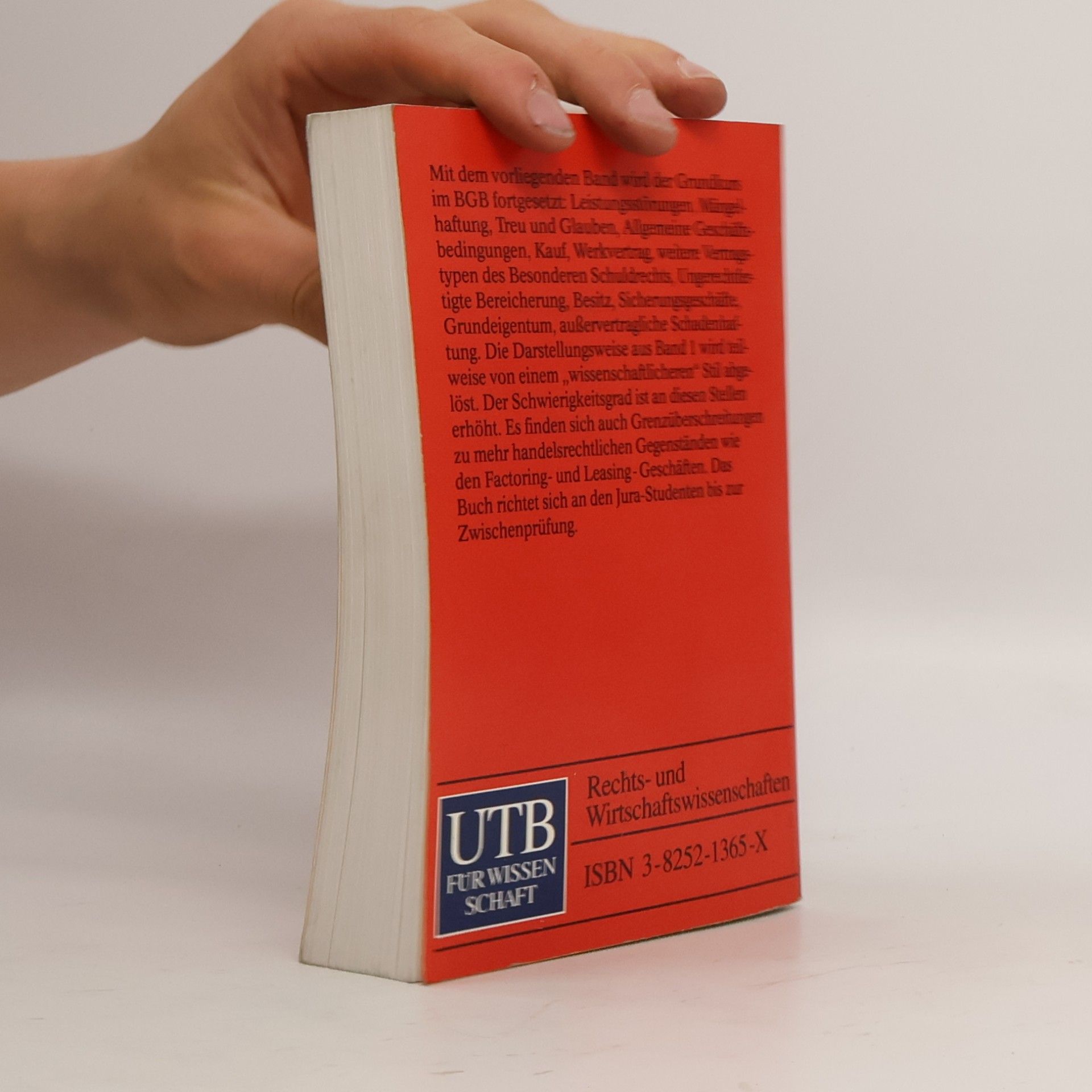 Hans Schulte UTB - 2: Grundkurs im BGB