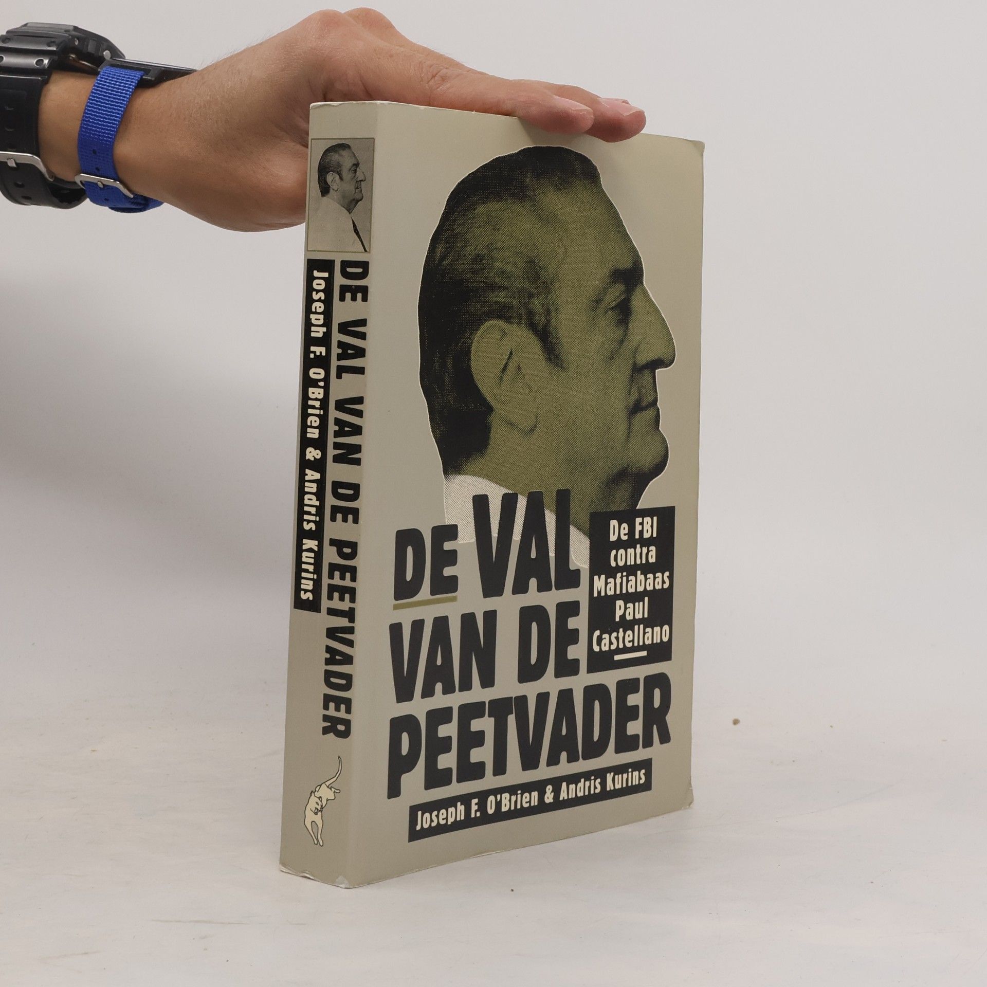 Rob van Moppes De val van de peetvader