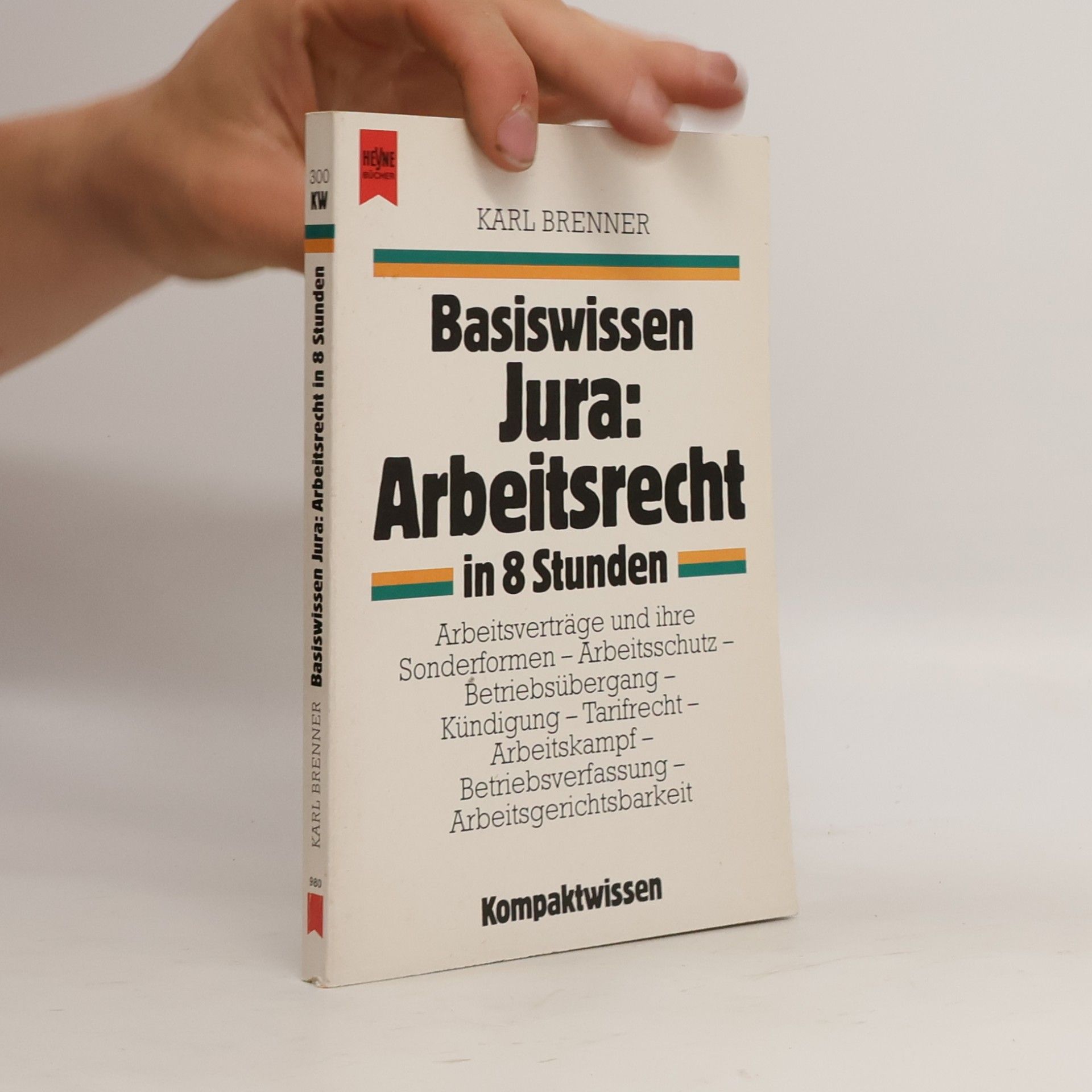 Basiswissen Jura: Arbeitsrecht in 8 Stunden