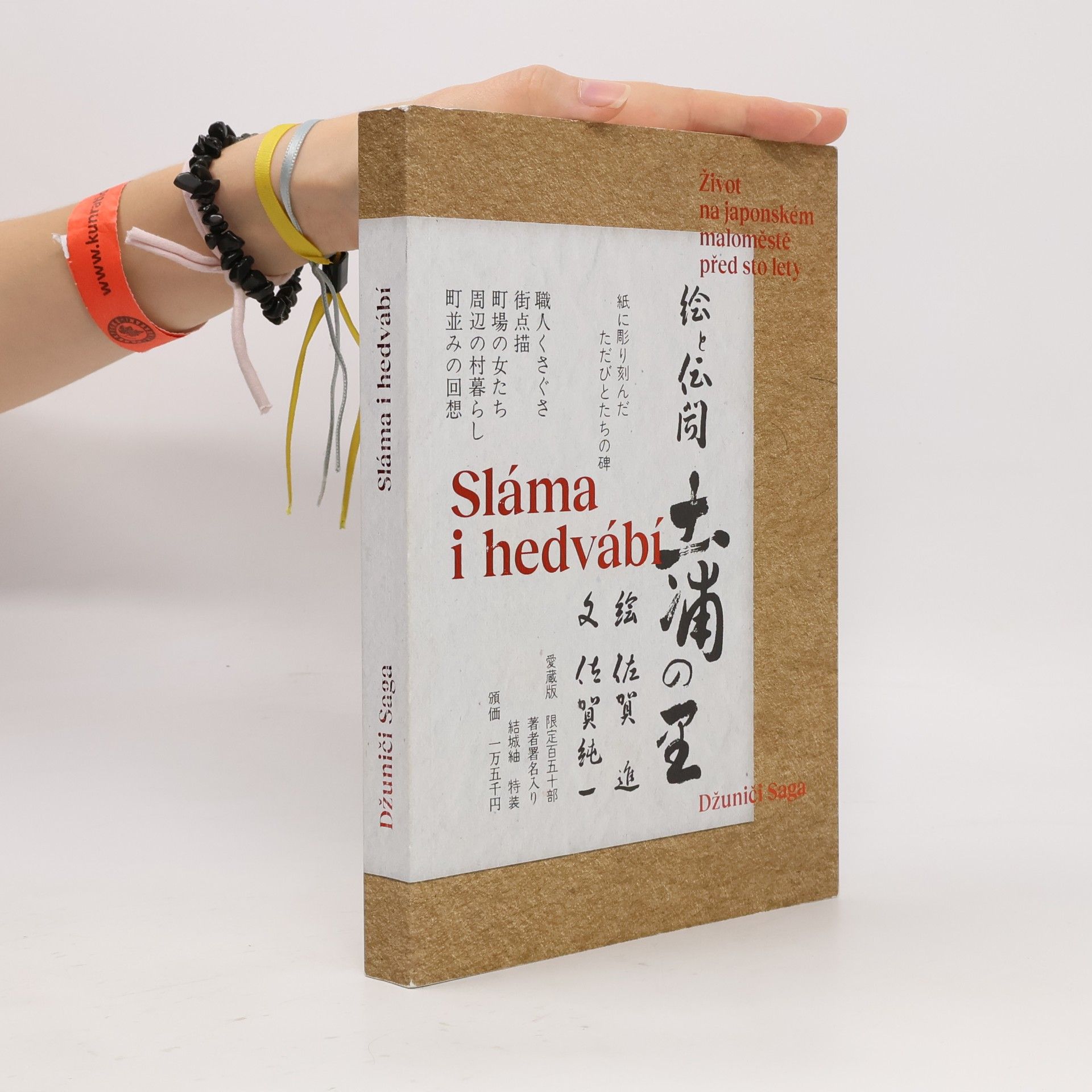 Jun’ichi Saga Sláma i hedvábí: Život na japonském maloměstě před sto lety