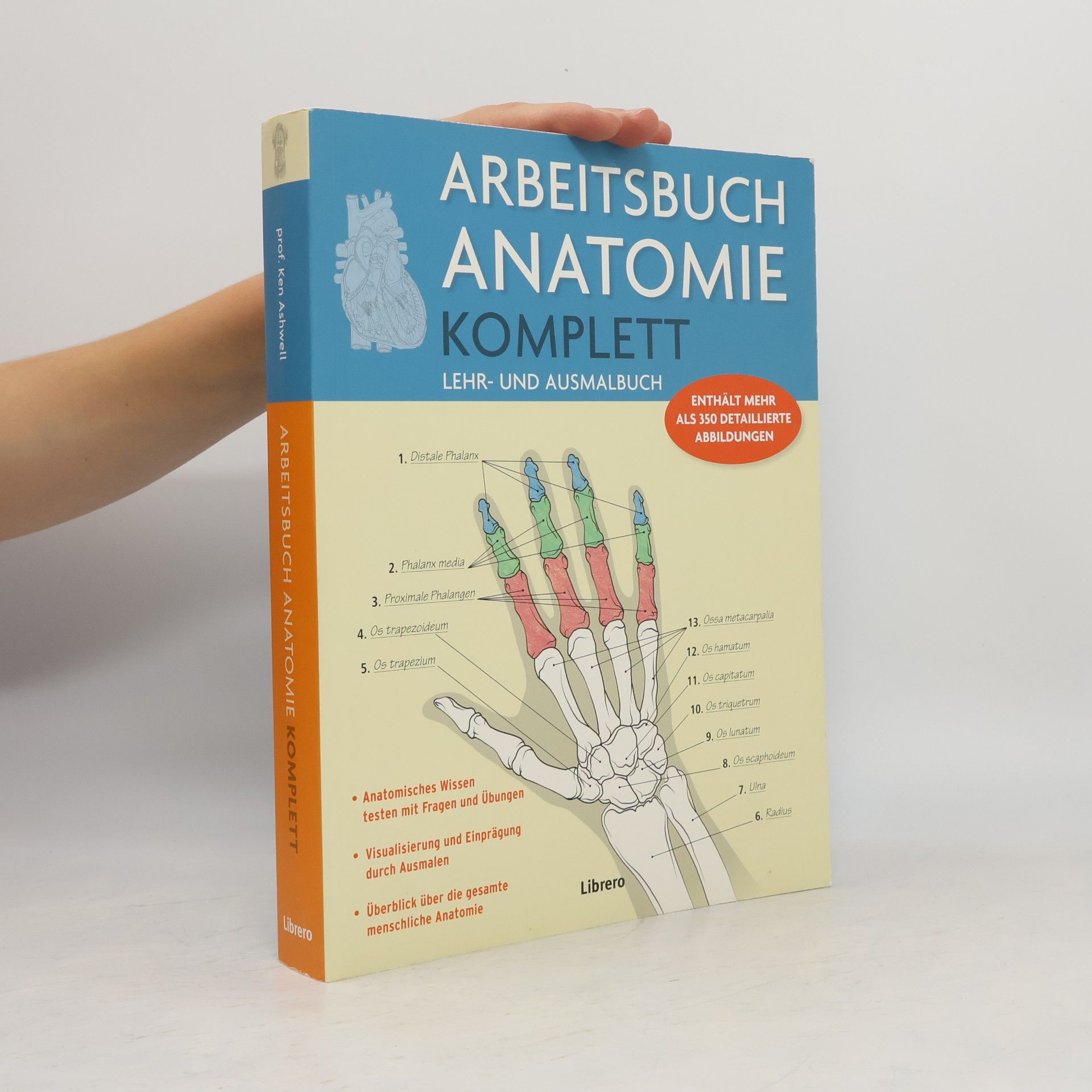 Arbeitsbuch Anatomie Komplett