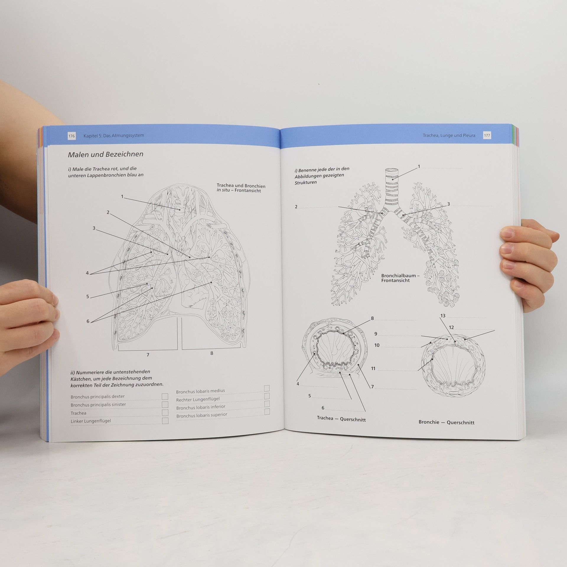 P. Carter Arbeitsbuch Anatomie Komplett
