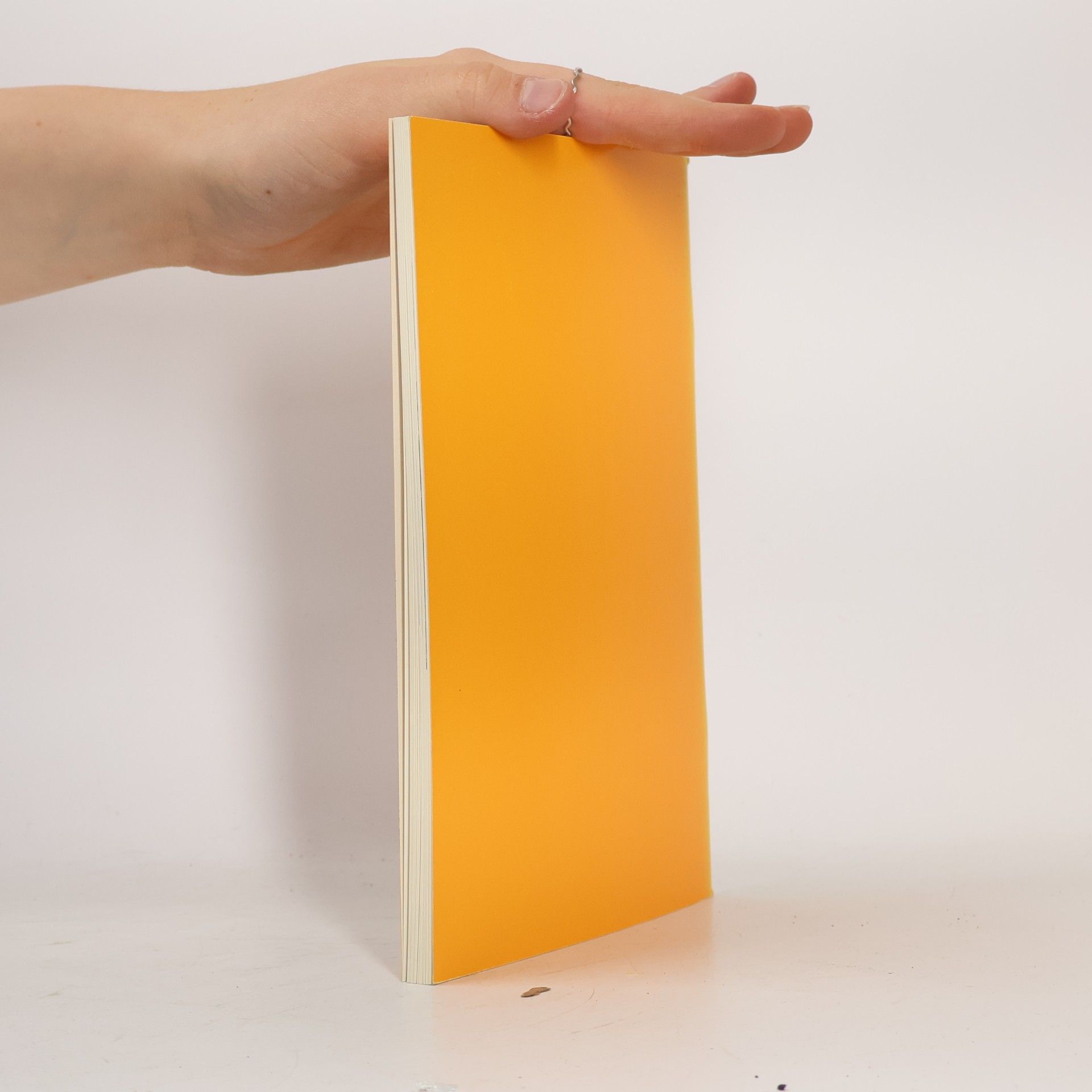 Markus Lutz Der Läufelfinger Pfarrer aus Basel