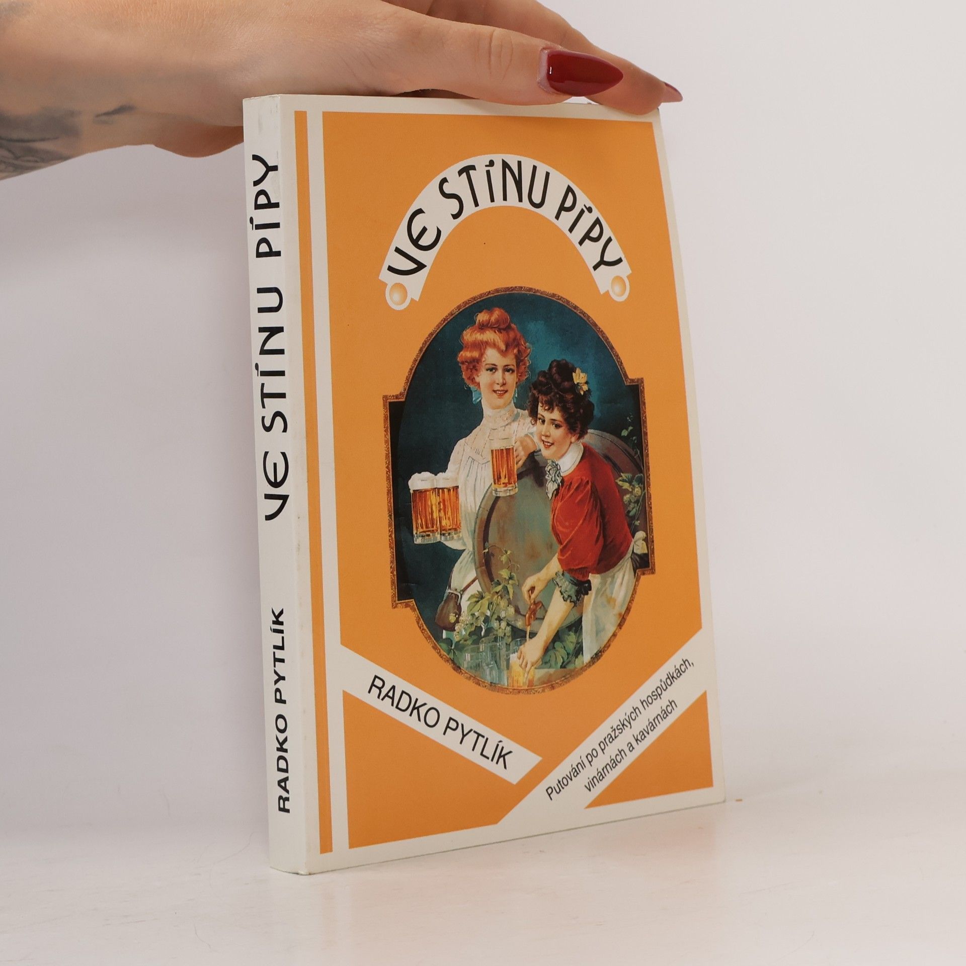 Radko Pytlík Ve stínu pípy. Hovory a fantazie