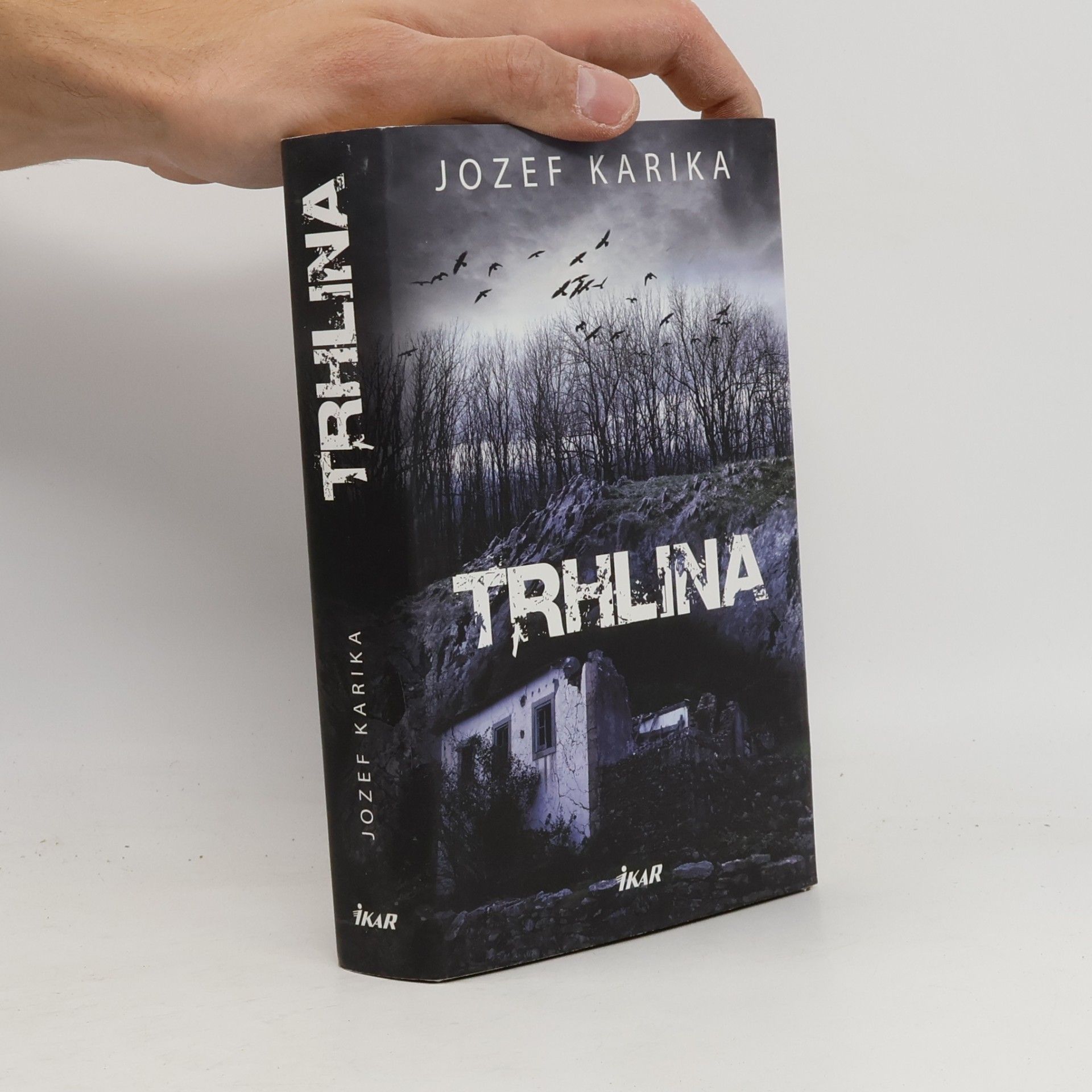 Jozef Karika Trhlina