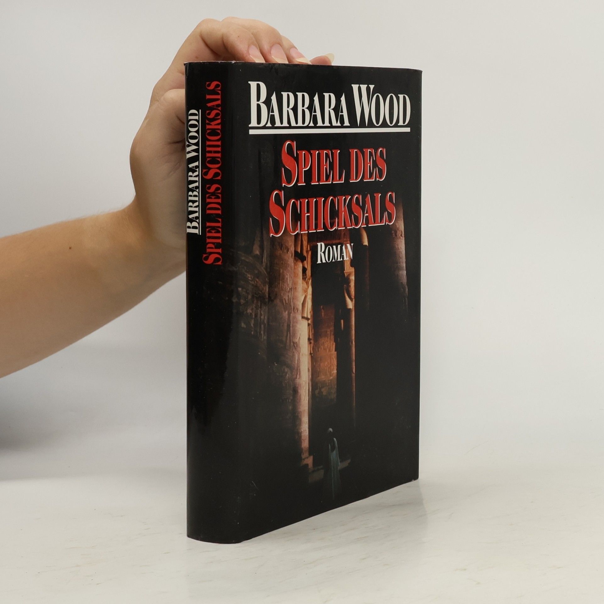 Barbara Wood Spiel des Schicksals