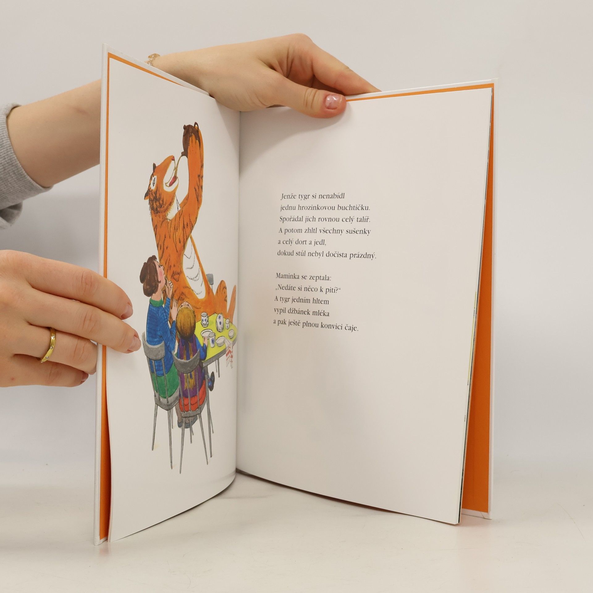 Judith Kerr Na svačinu přišel tygr