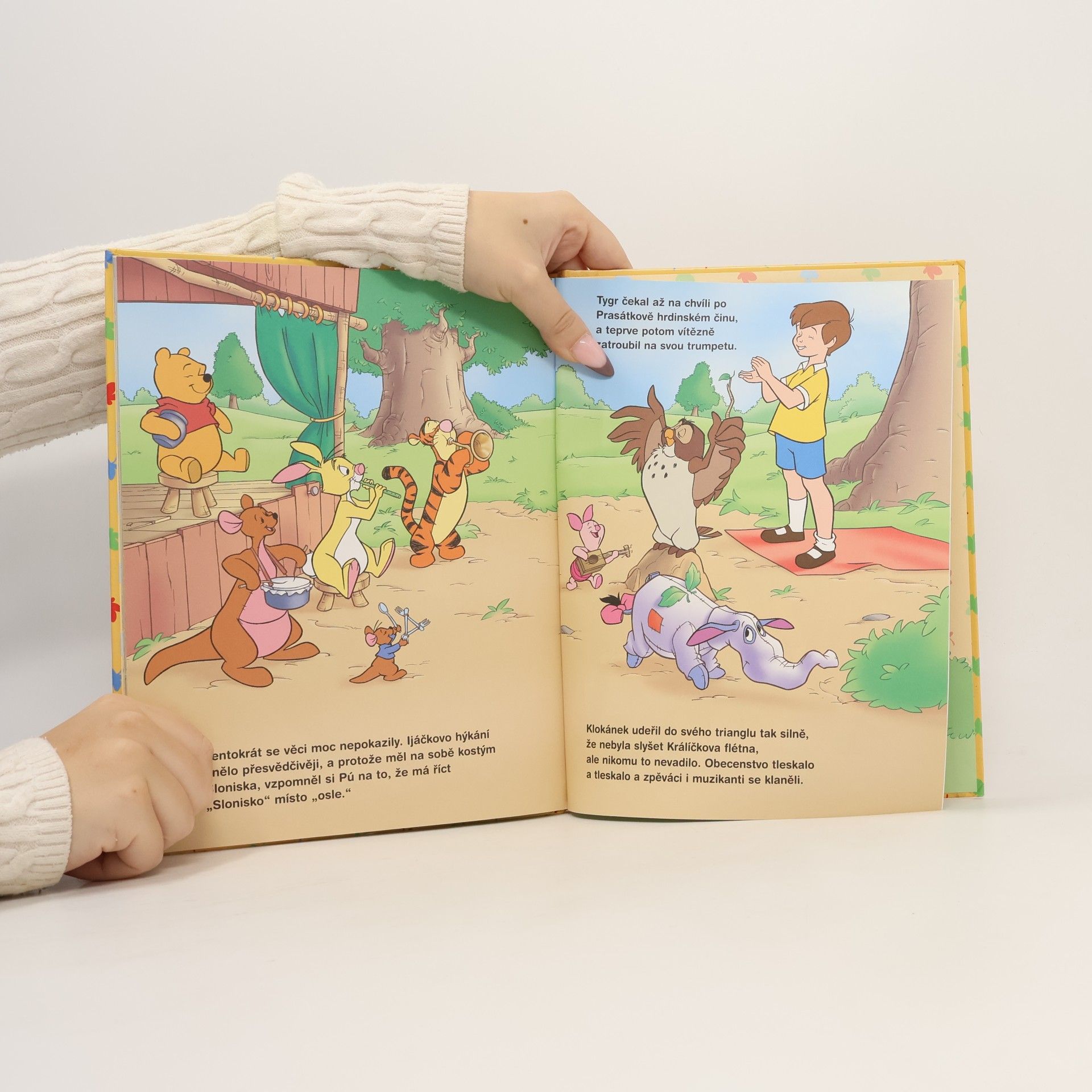 Walt Disney Medvídek Pú - Kouzelné zaklínadlo