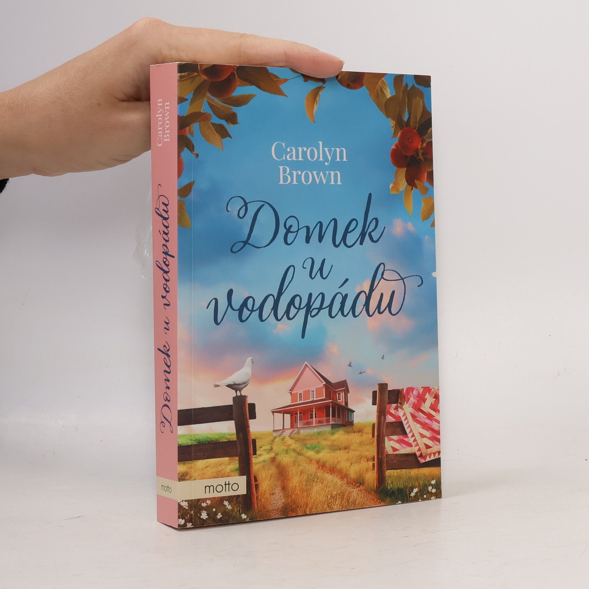 Carolyn Brown Domek u vodopádu