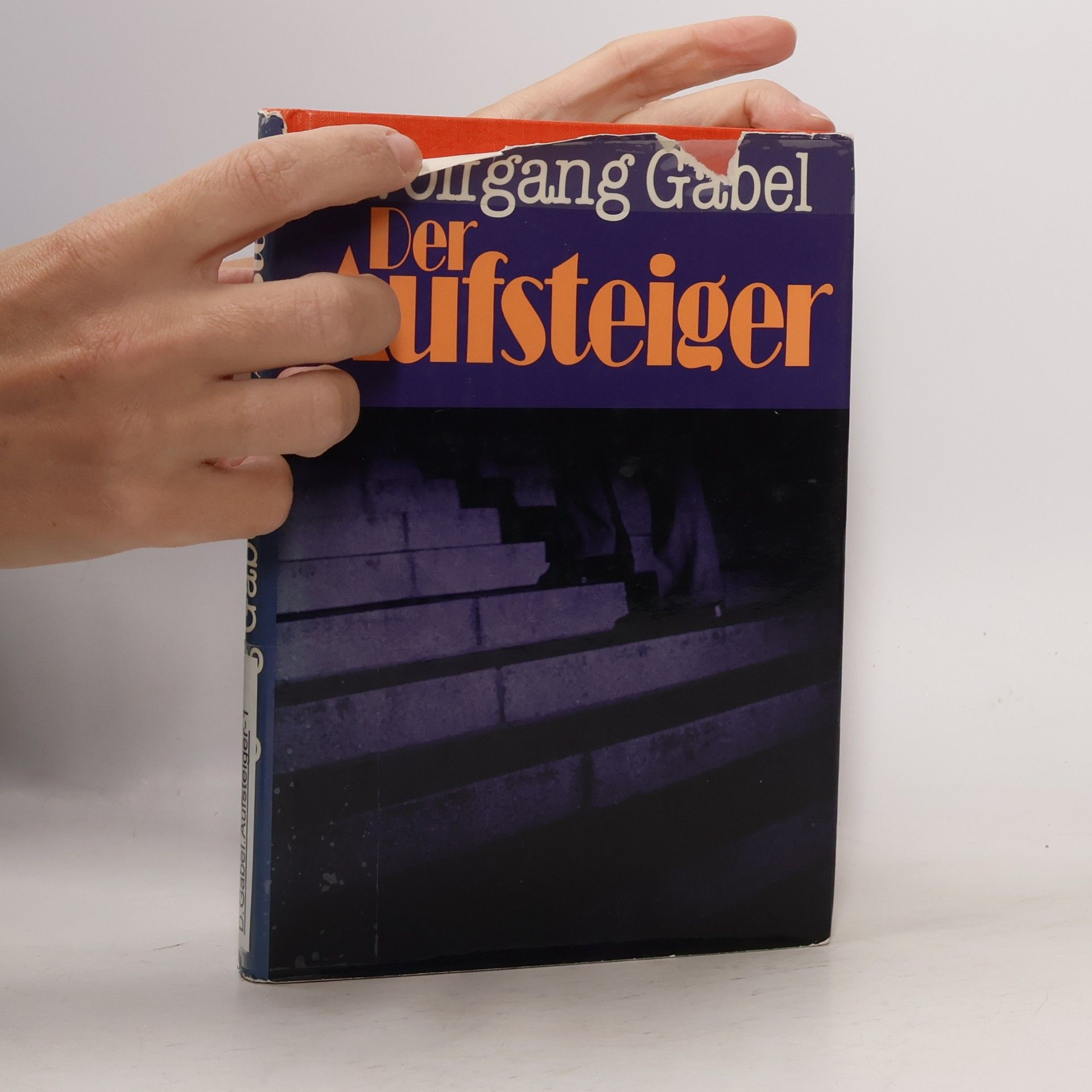 Wolfgang Gabel Der Aufsteiger
