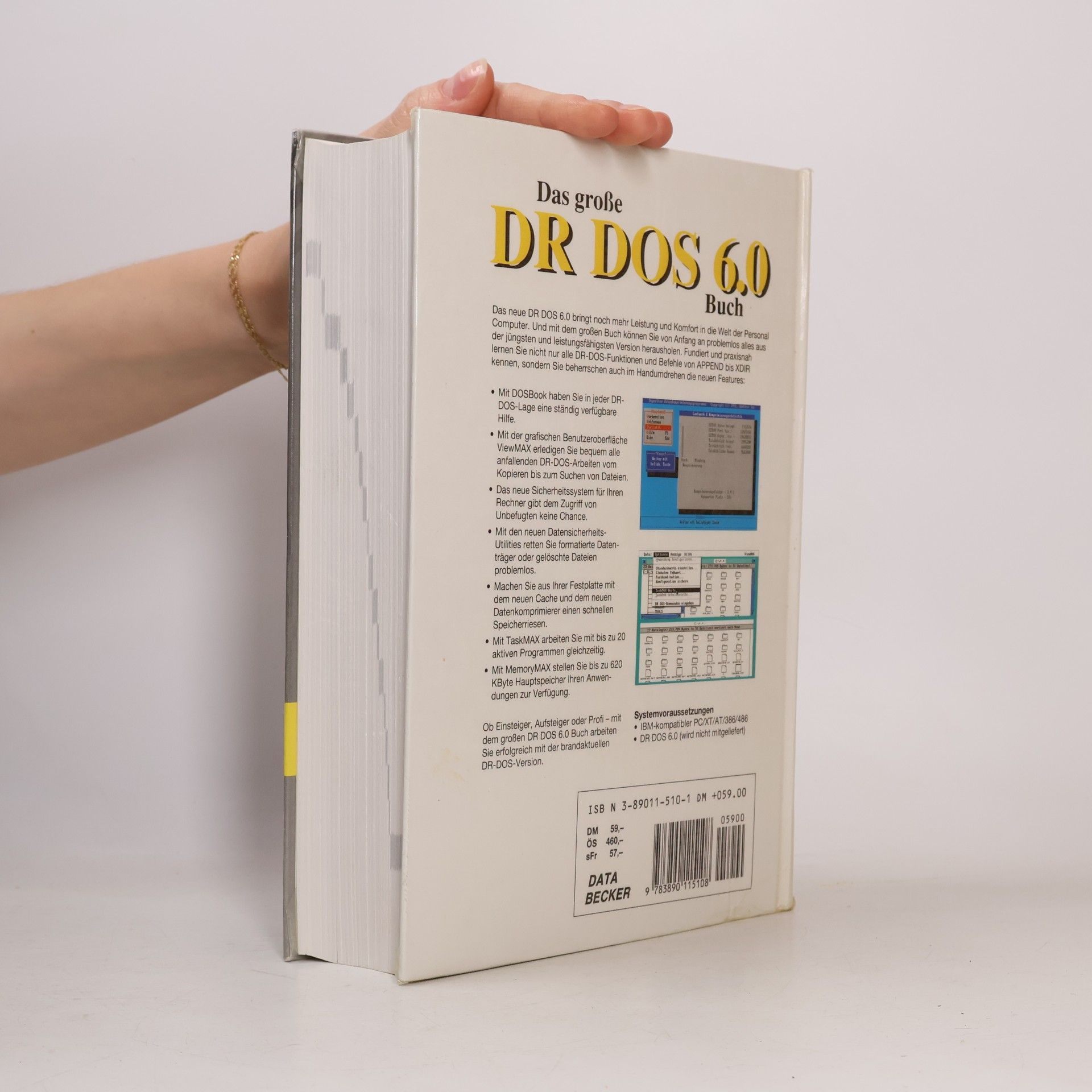Helmut Tornsdorf Das grosse DR-DOS-6.0-Buch