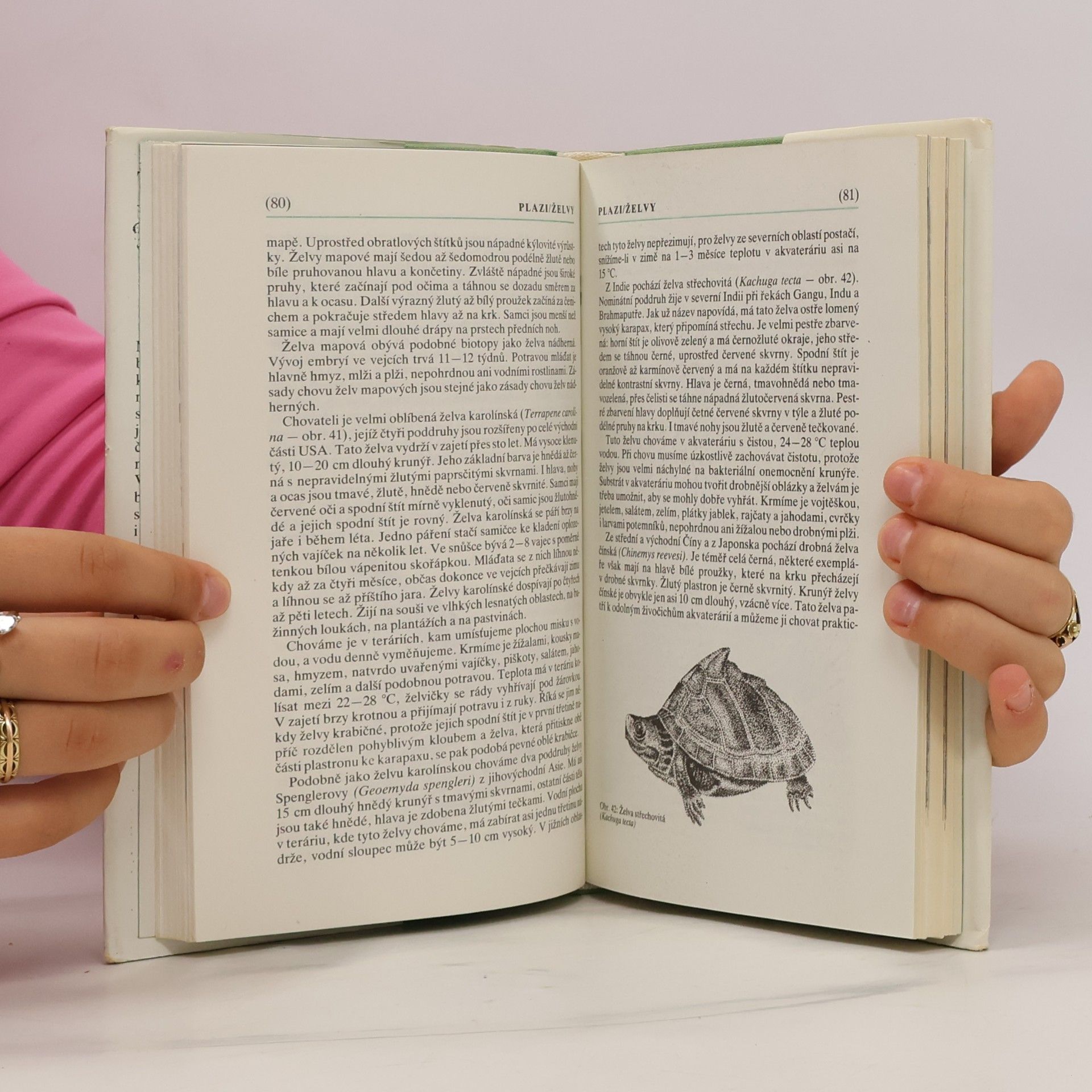 Jiří Čihař Teraristika: Biologie a chov obojživelníků a plazů
