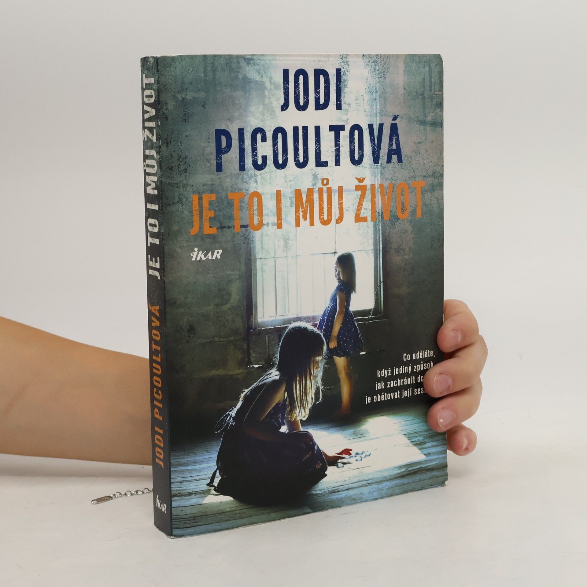 Jodi Picoult Je to i můj život