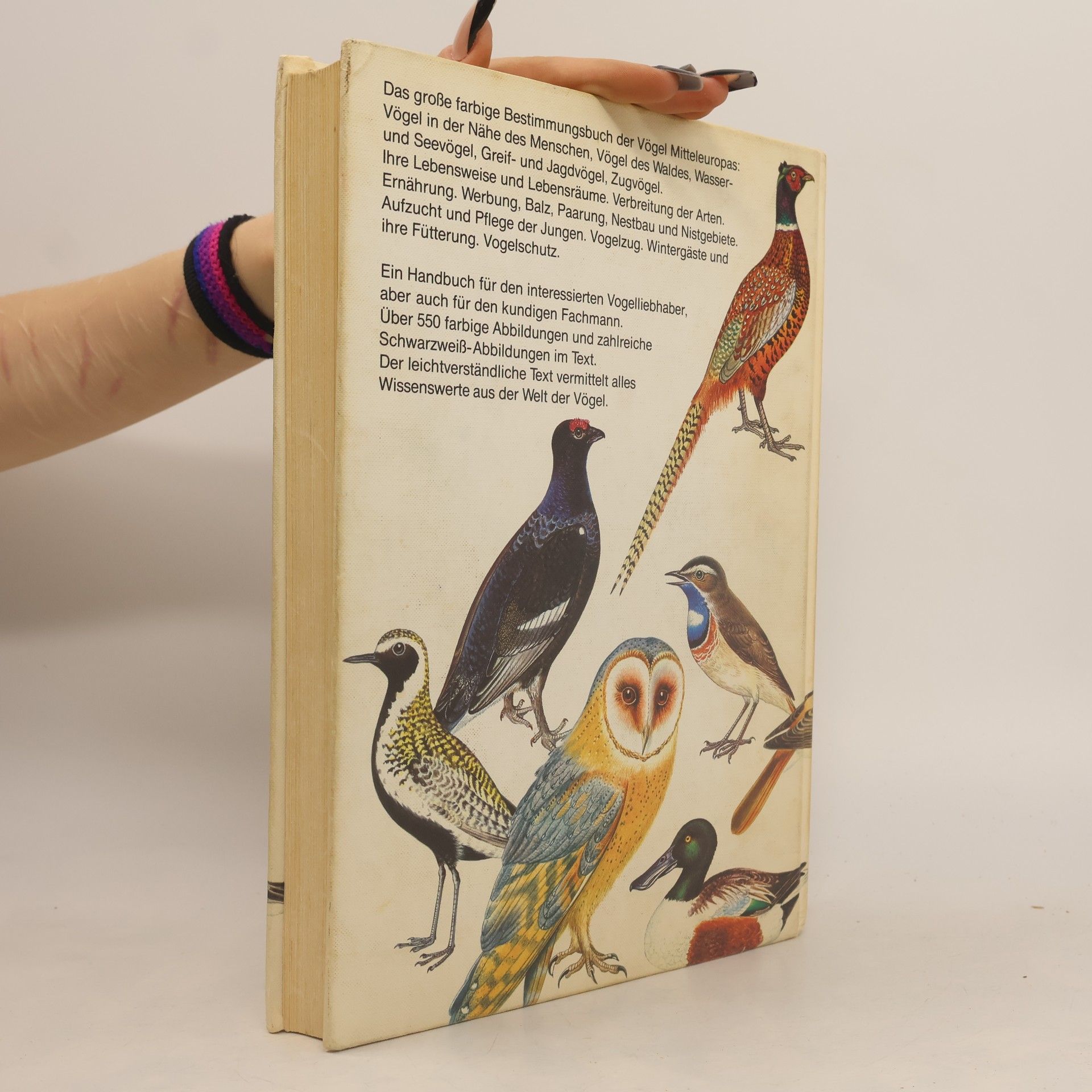 Jiří Felix Das große Vogelbuch in Farbe