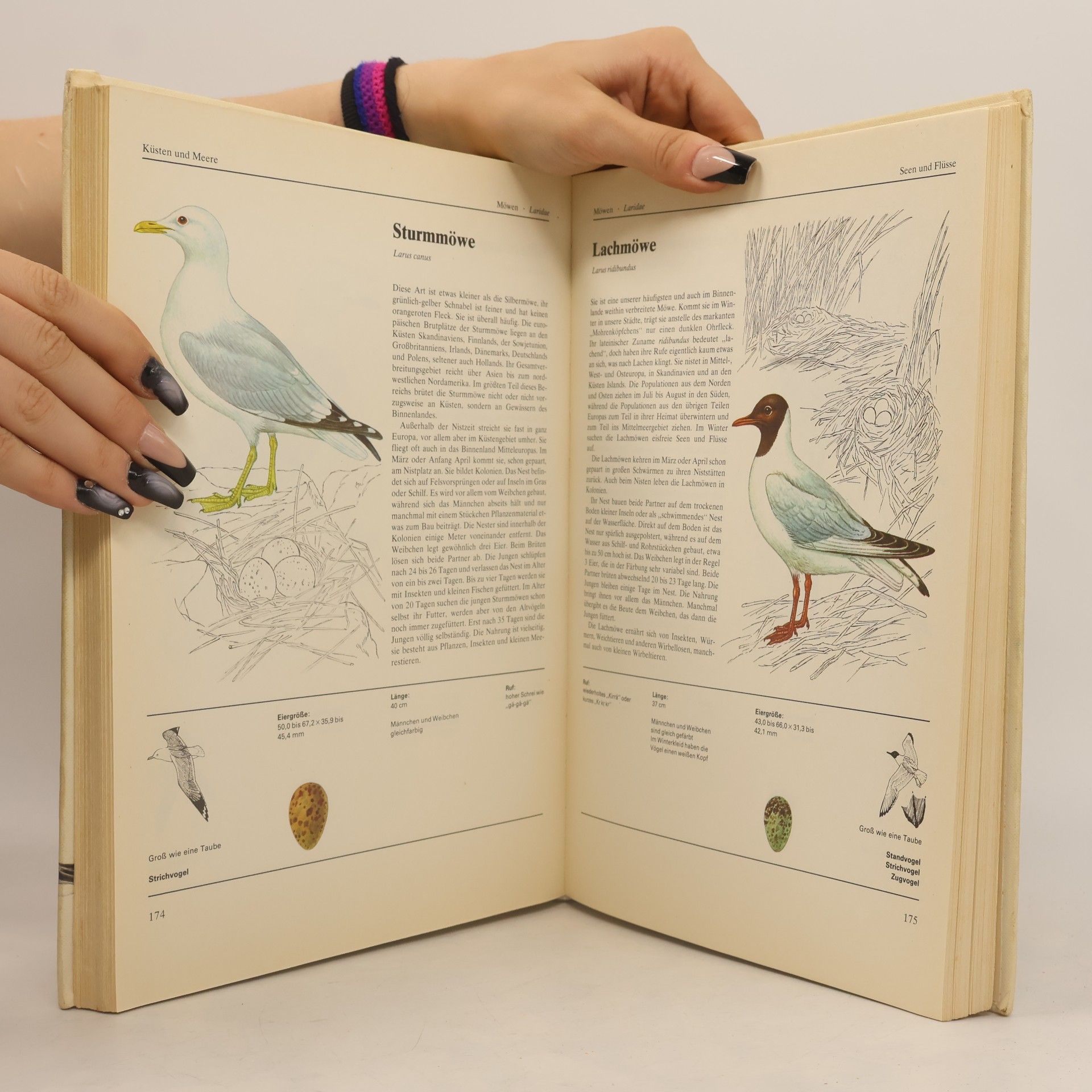 Jiří Felix Das große Vogelbuch in Farbe