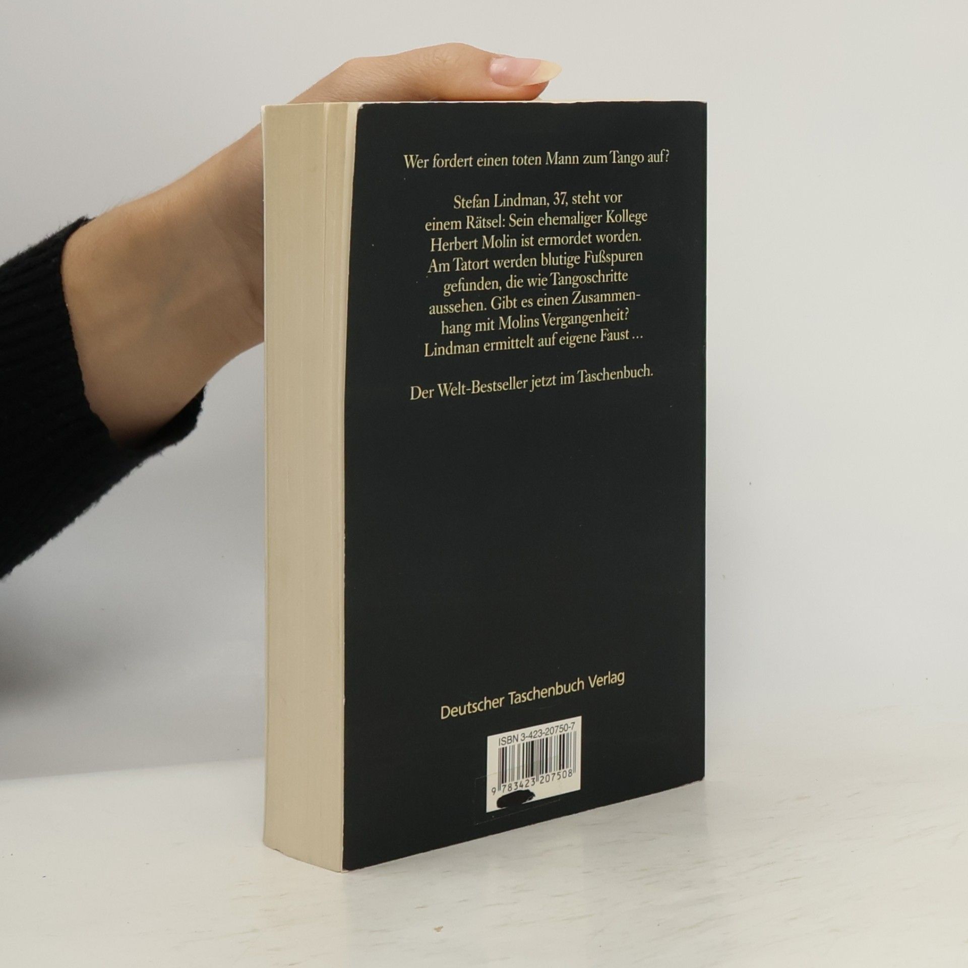 Henning Mankell Die Rückkehr des Tanzlehrers