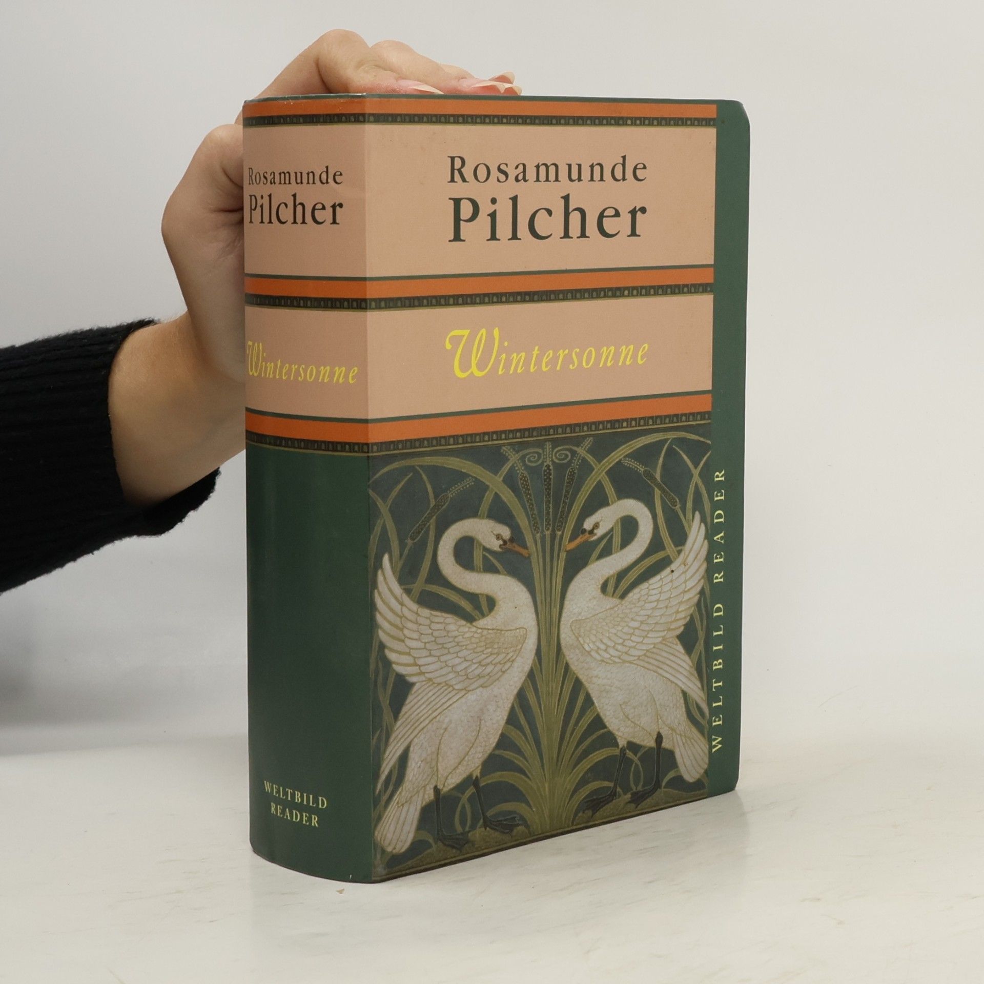 Rosamunde Pilcher Wintersonne