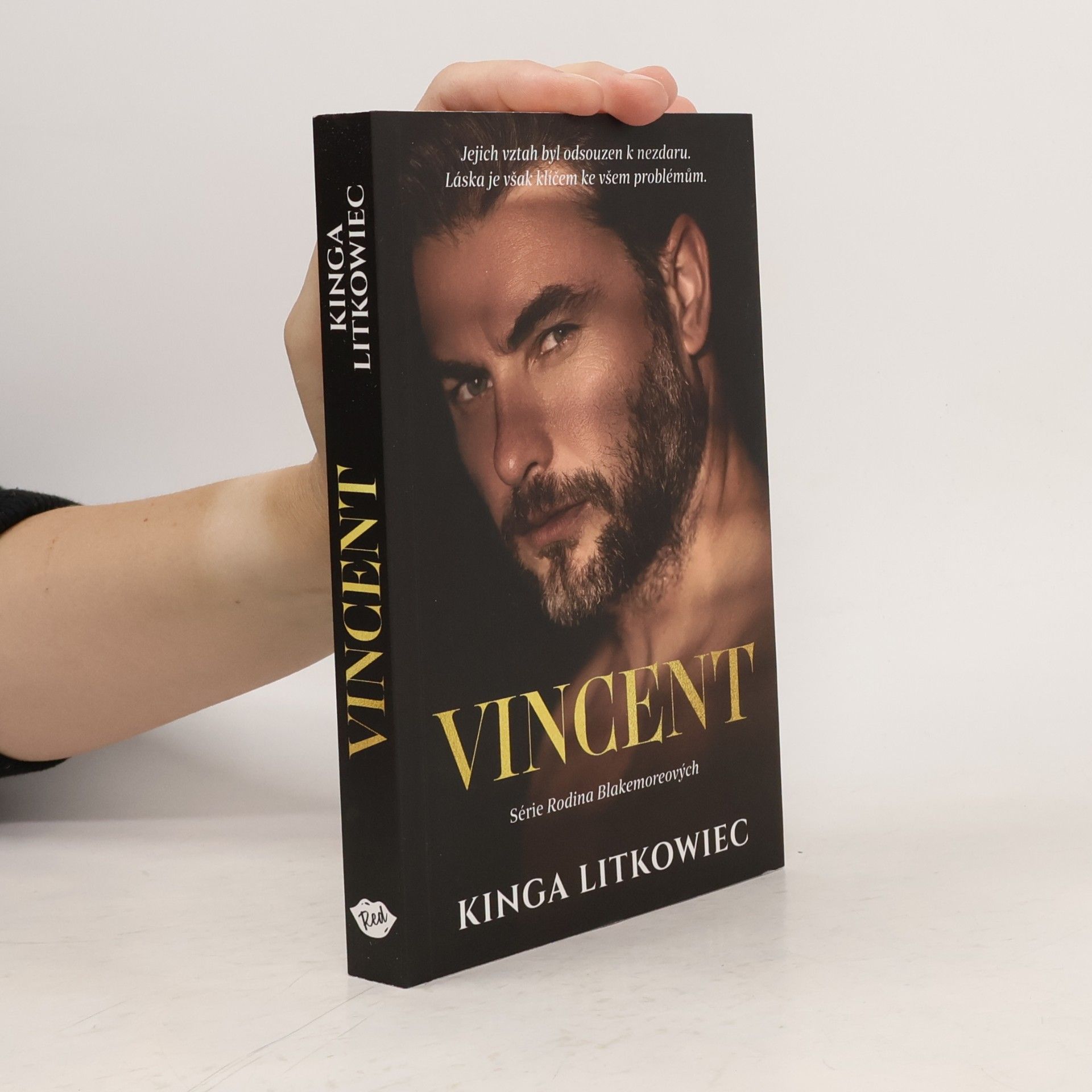 Kinga Litkowiec Rodina Blakemoreových. Vincent (2. díl)