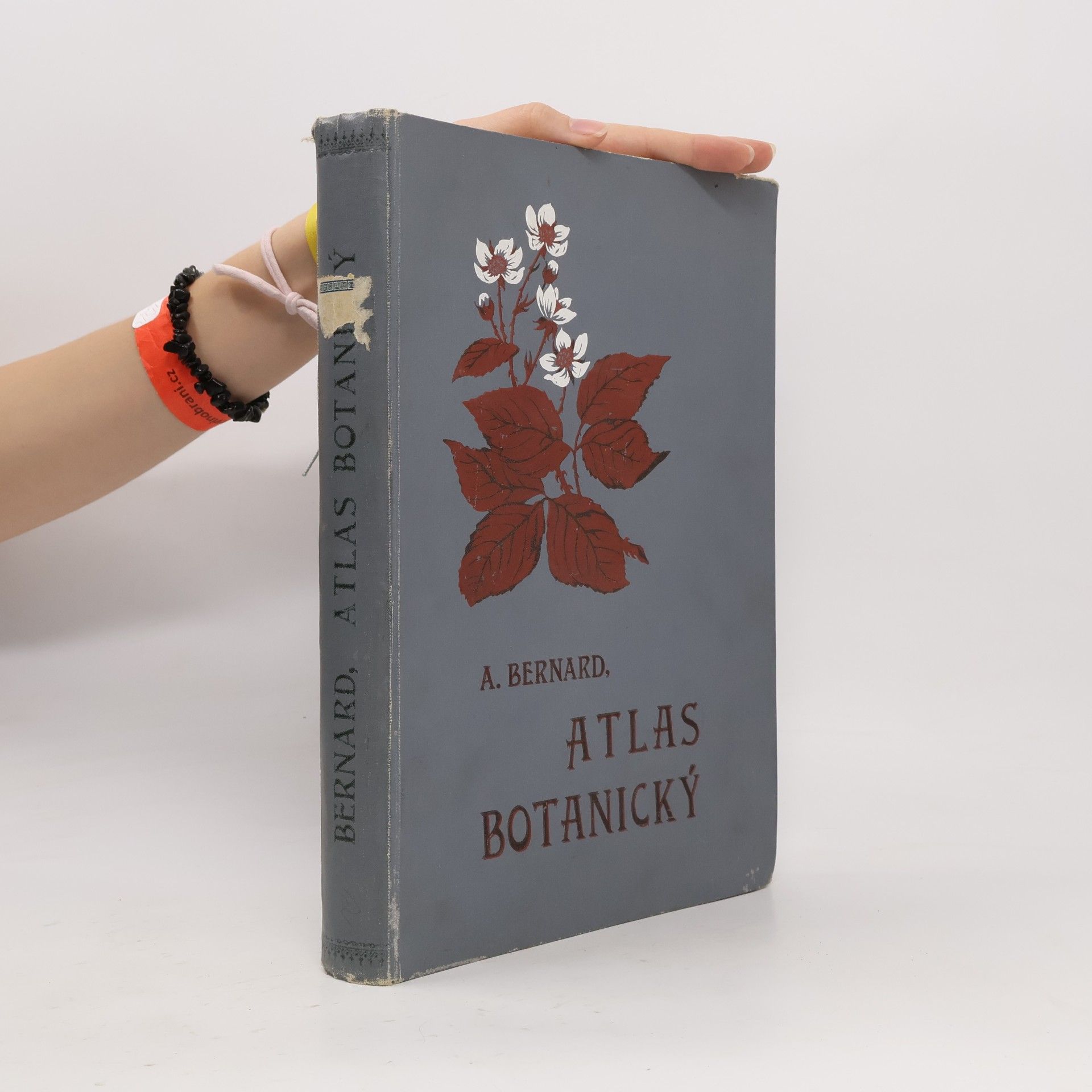 Alexander Bernard Atlas botanický