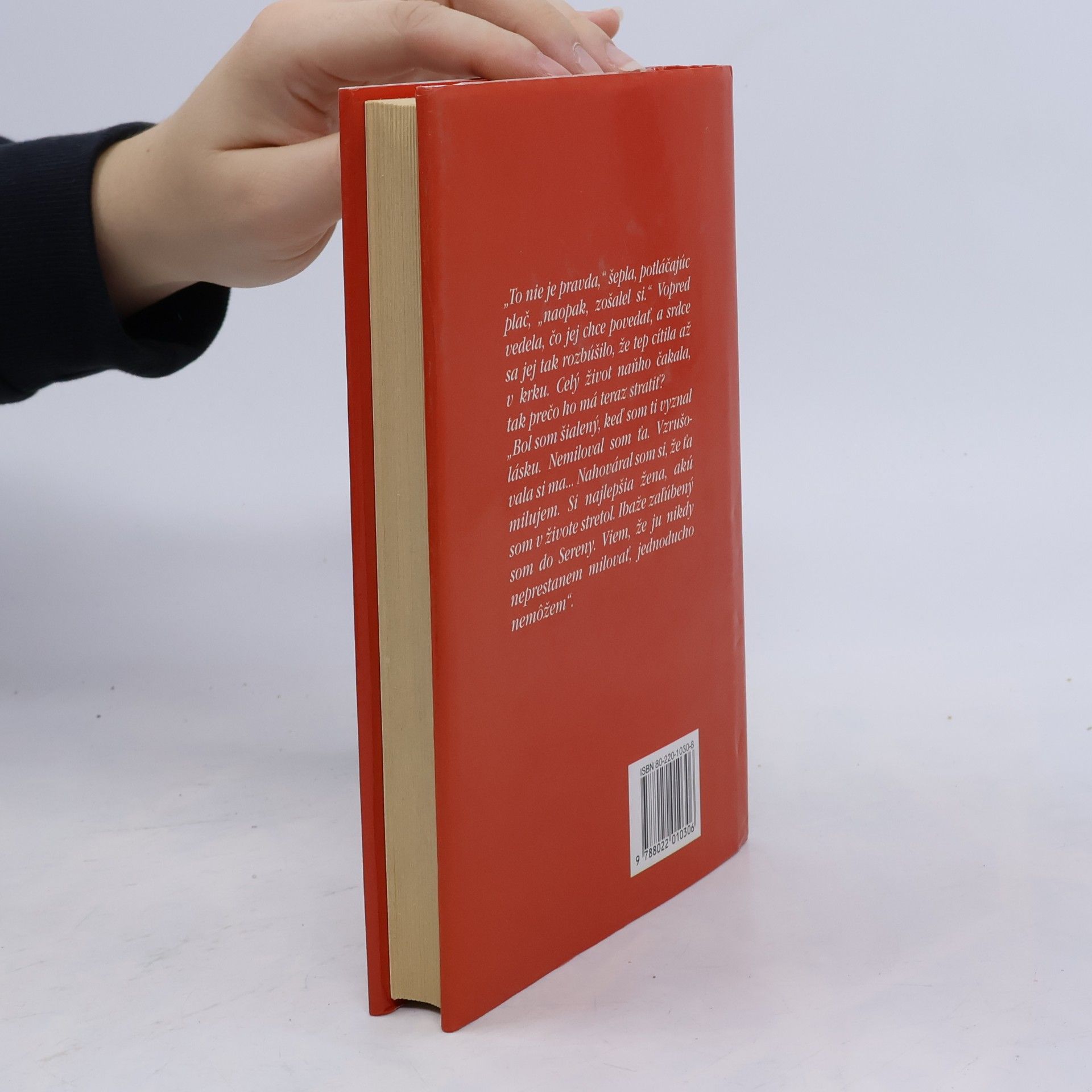 Danielle Steel Rozhodnutie