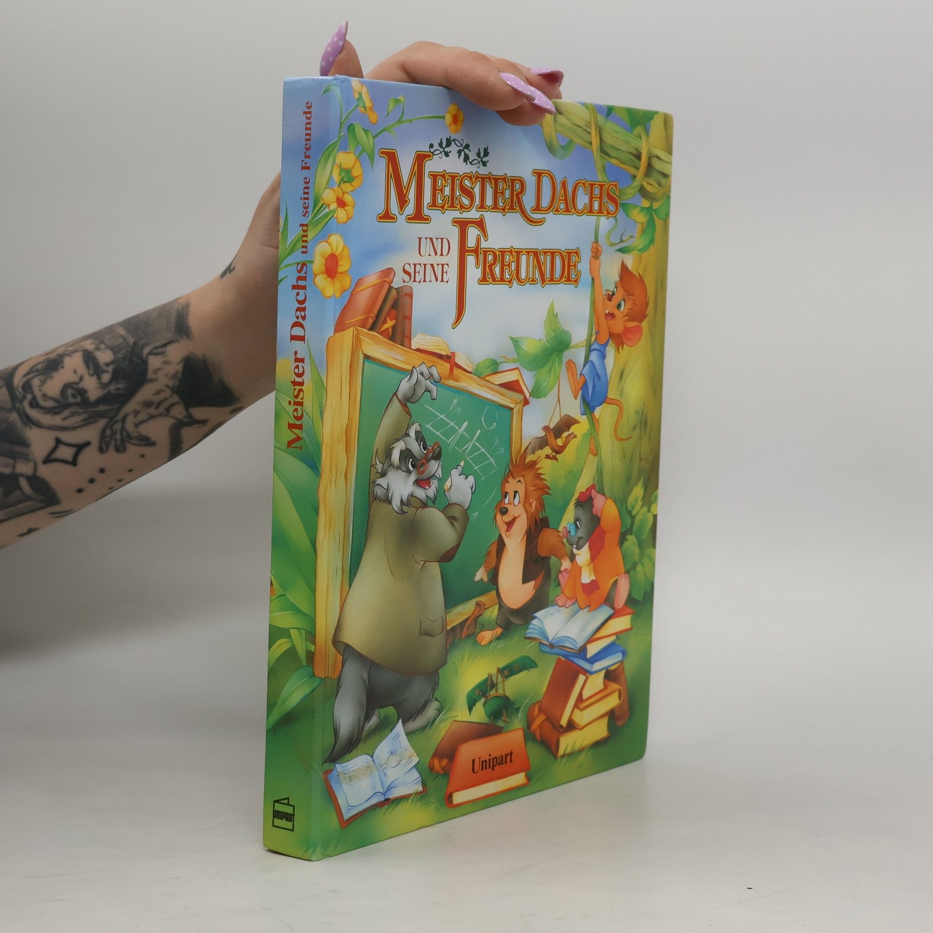 Autores varios Meister Dachs und seine Freunde