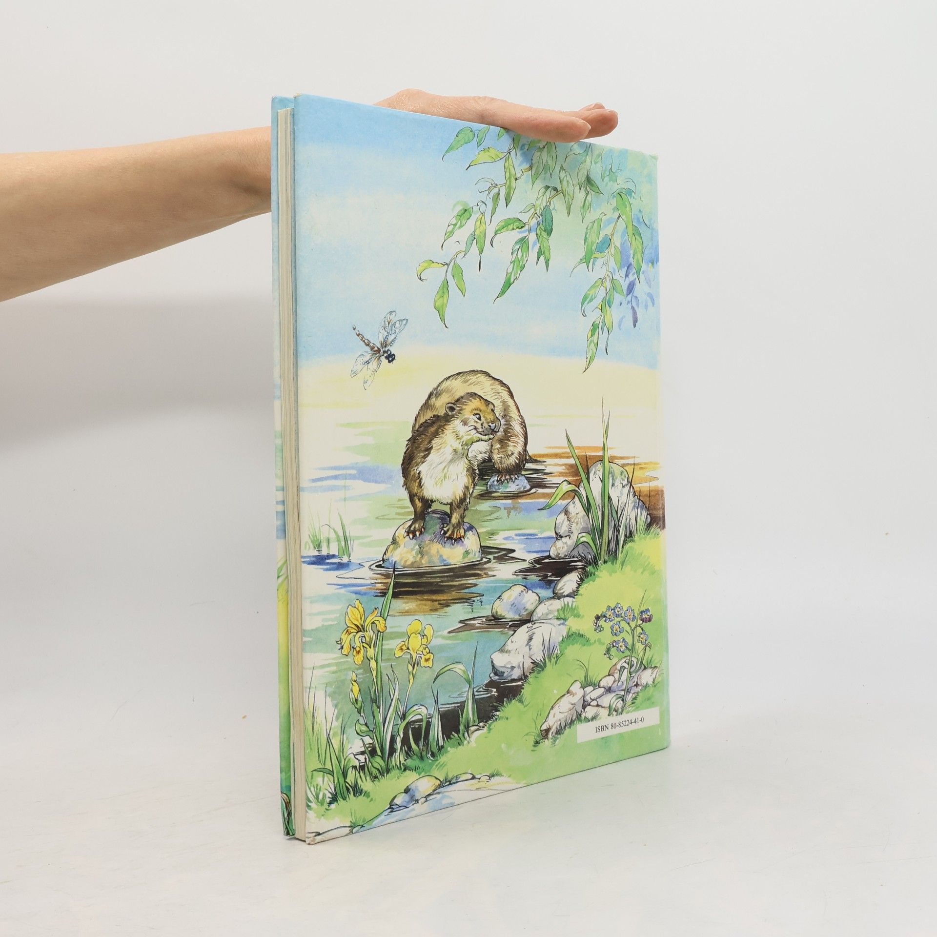 Kenneth Grahame Rozprávky spod vŕby