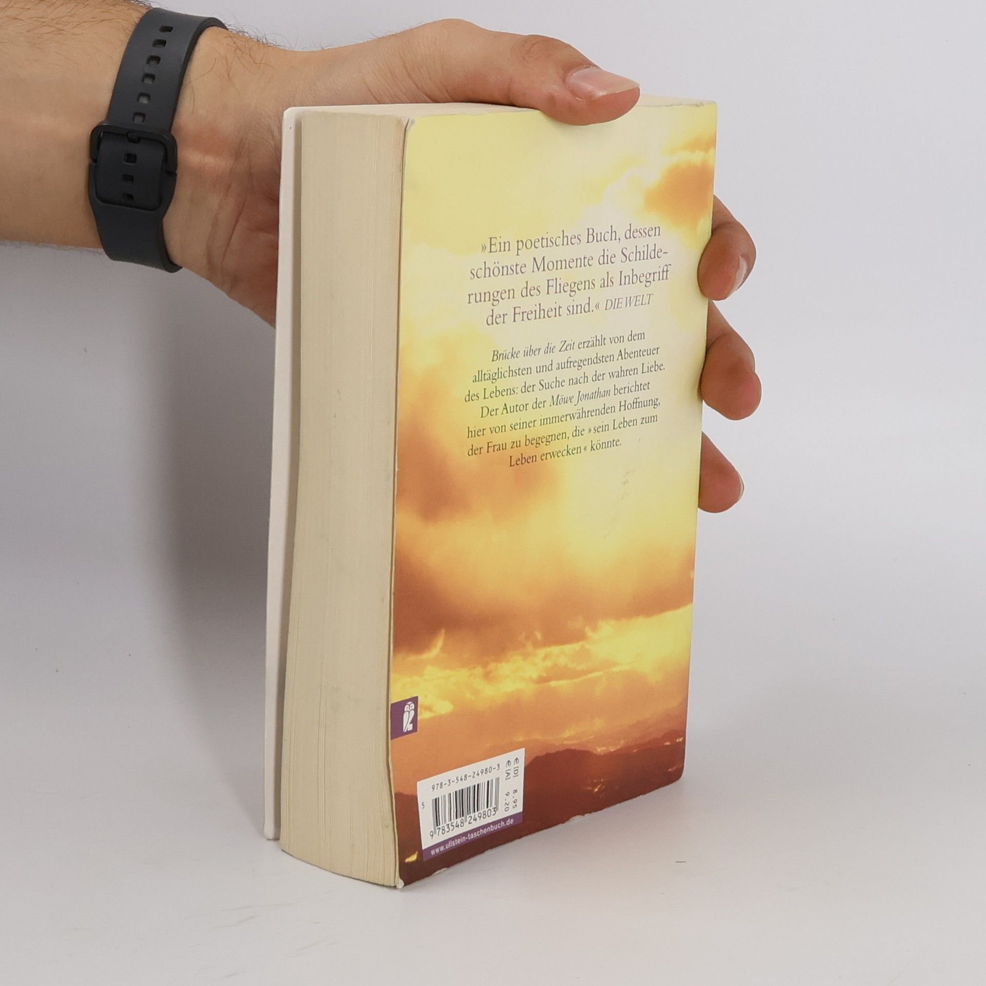 Richard Bach Brücke über die Zeit