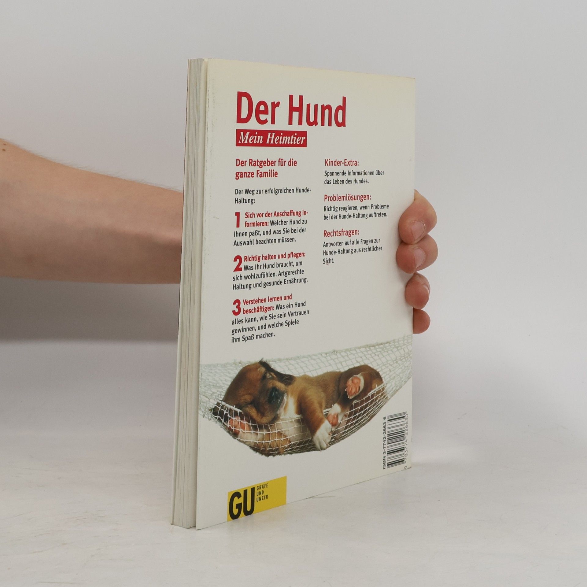 Katharina Schleg Kofler Der Hund