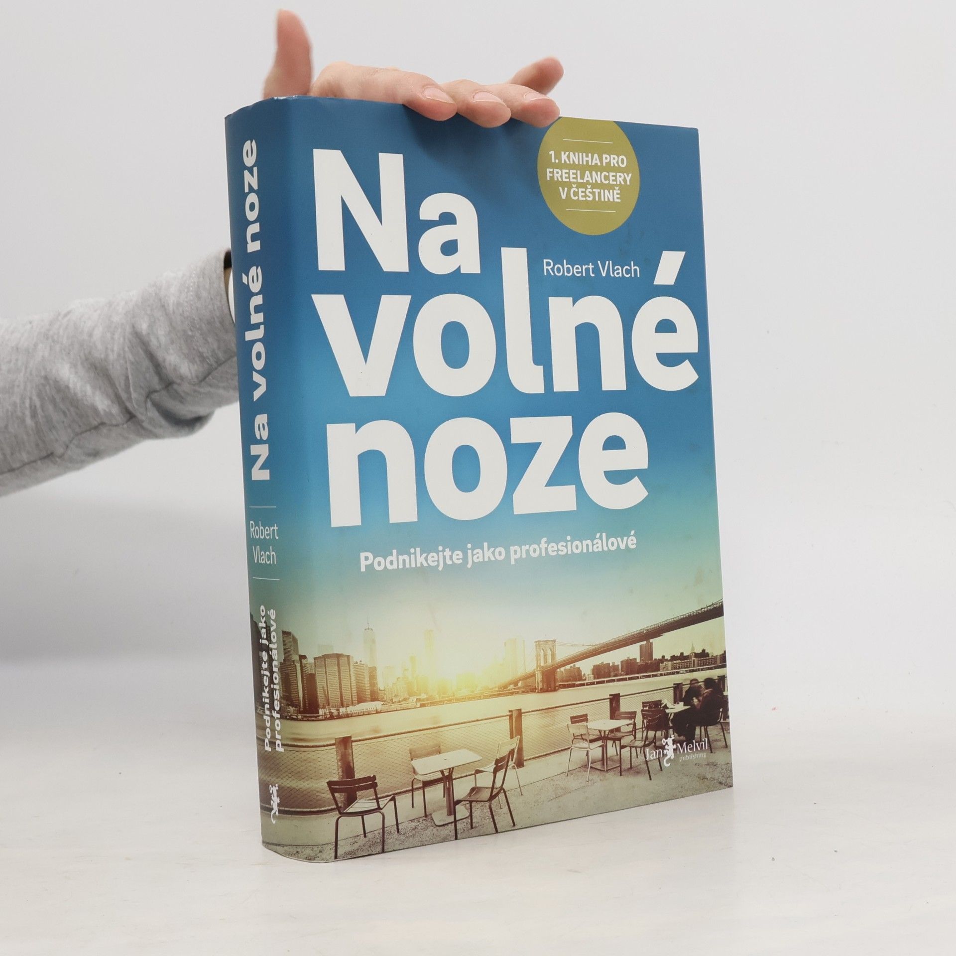 Robert Vlach (podnikatel) Na volné noze