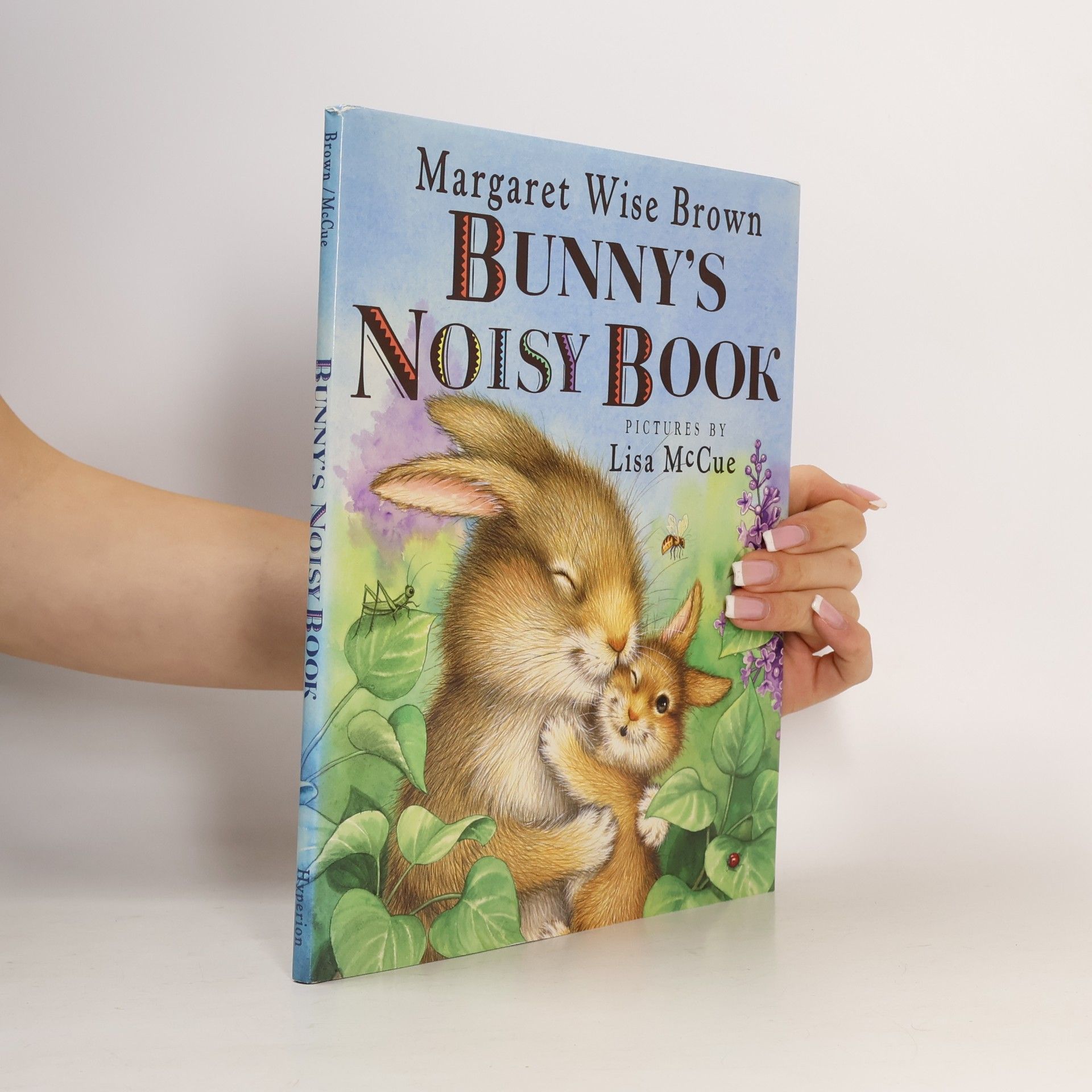 Jean Little Bunny's Noisy Book