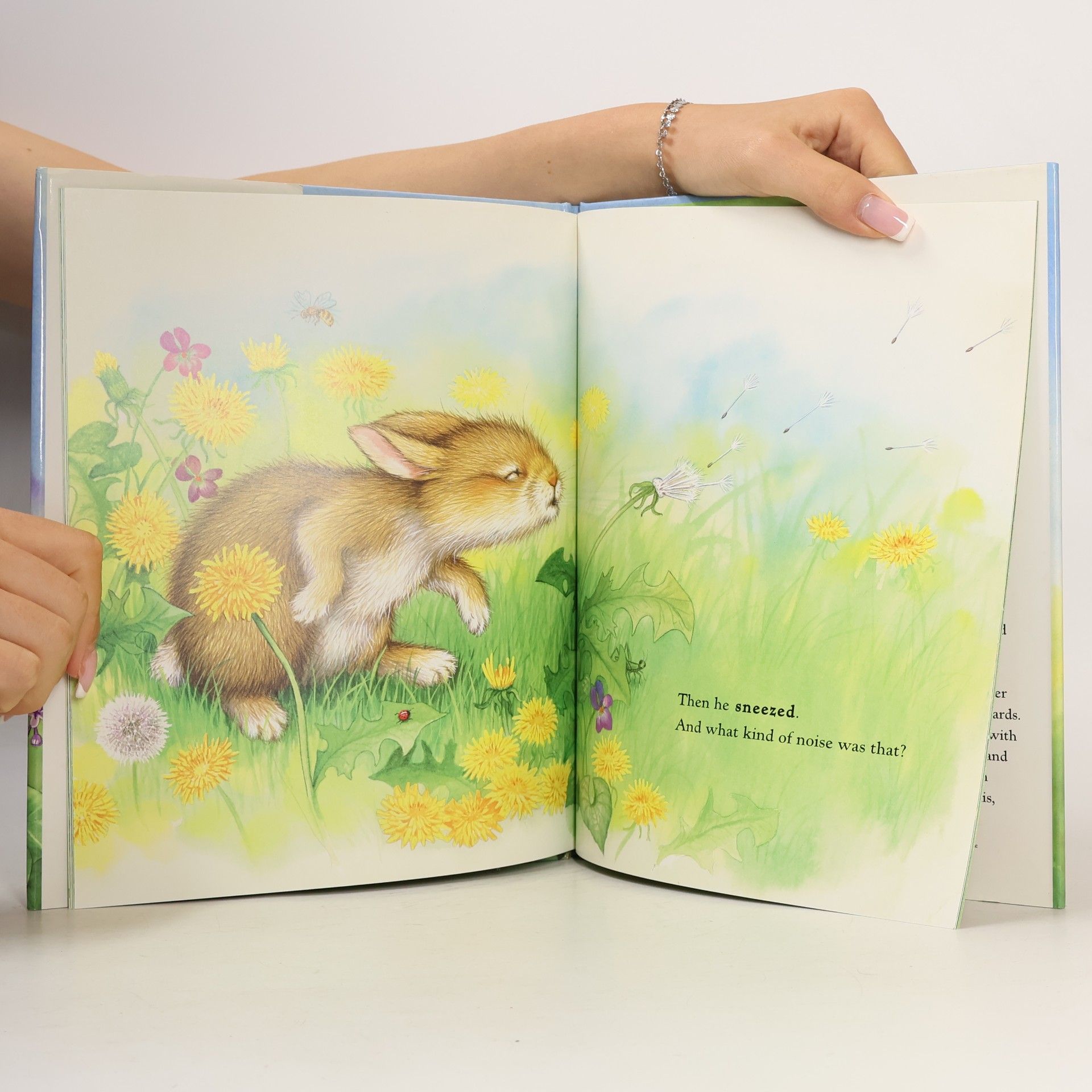 Margaret Wise Brown Bunny's Noisy Book