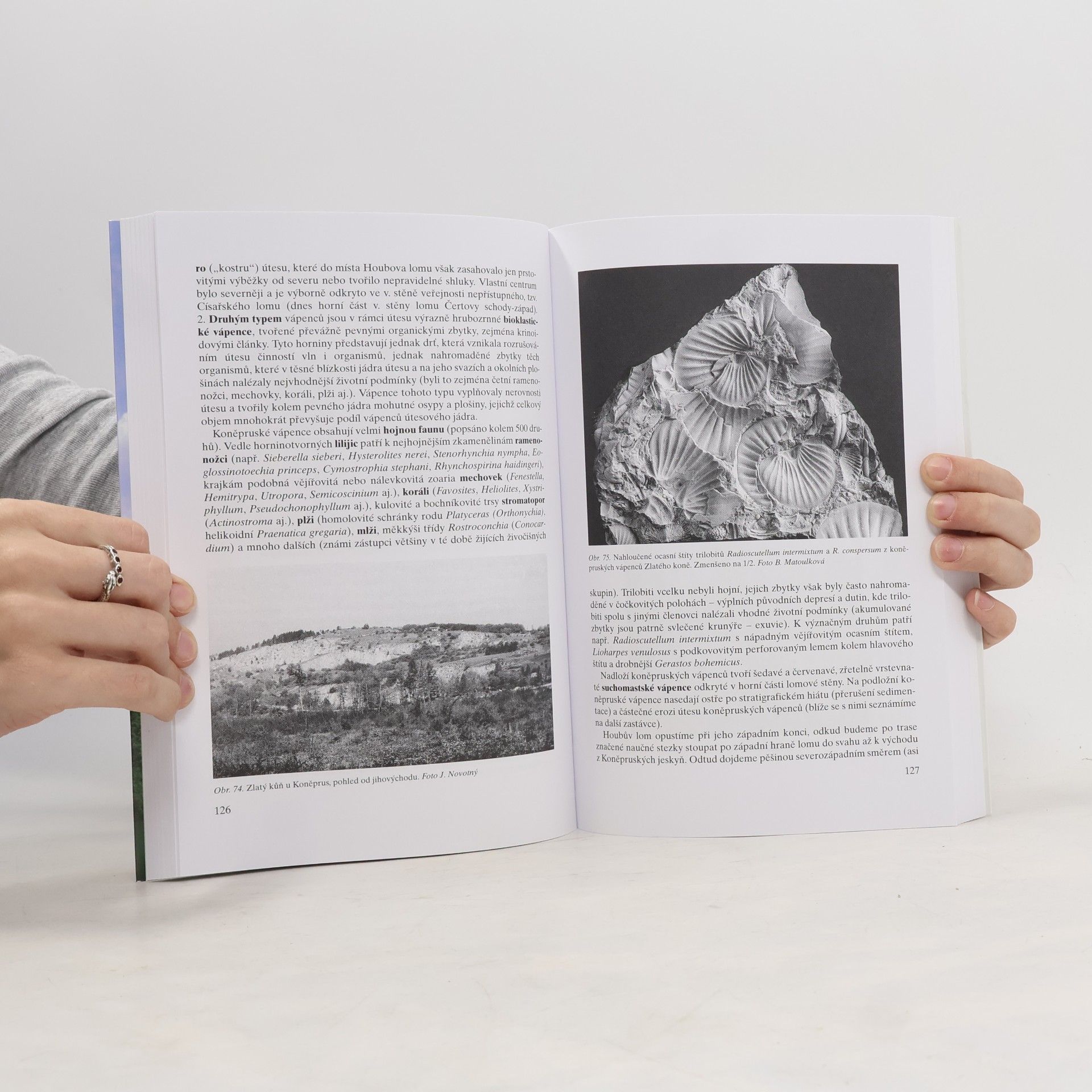 Ivo Chlupáč Vycházky za geologickou minulostí Prahy a okolí