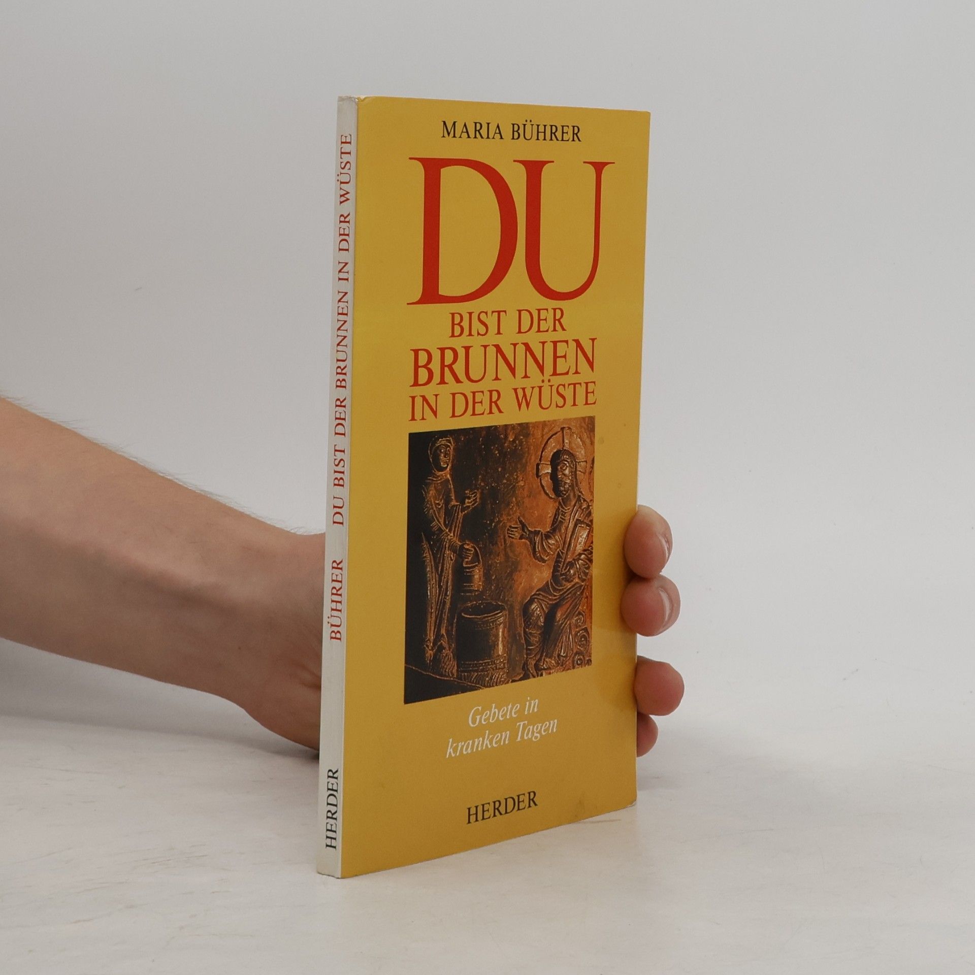 Maria Bührer Du bist der Brunnen in der Wüste