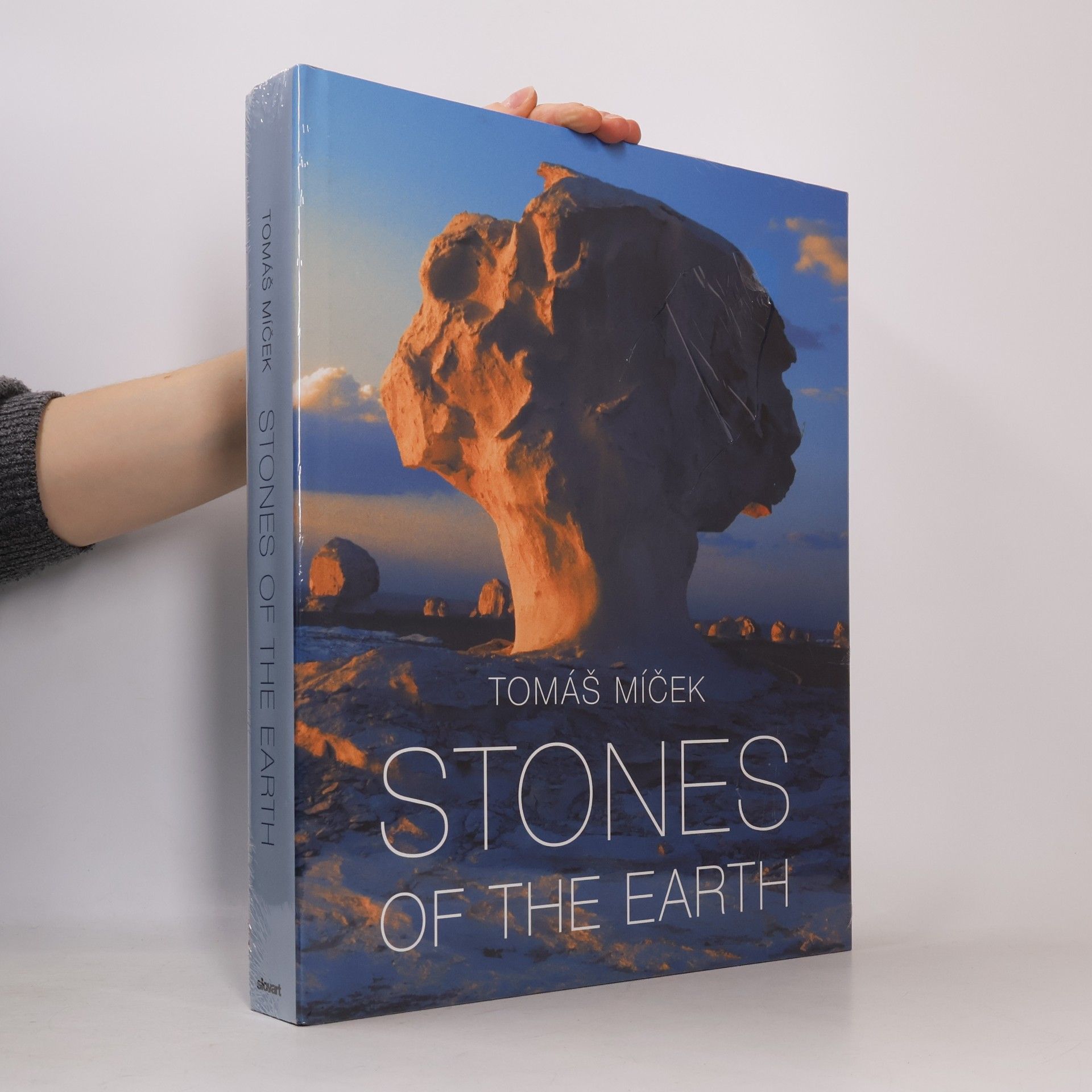 Tomáš Míček Stones of the Earth
