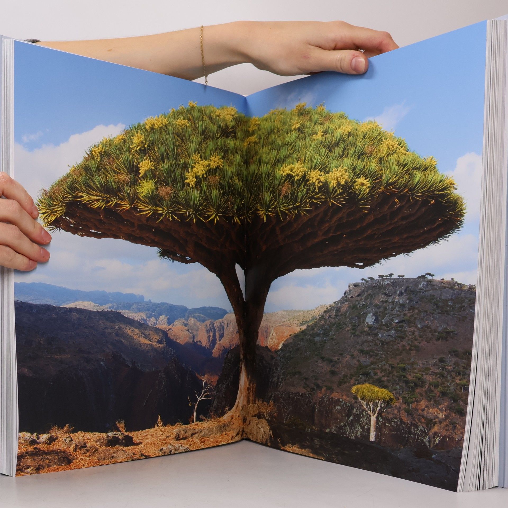 Tomáš Míček Magic Places of The Earth