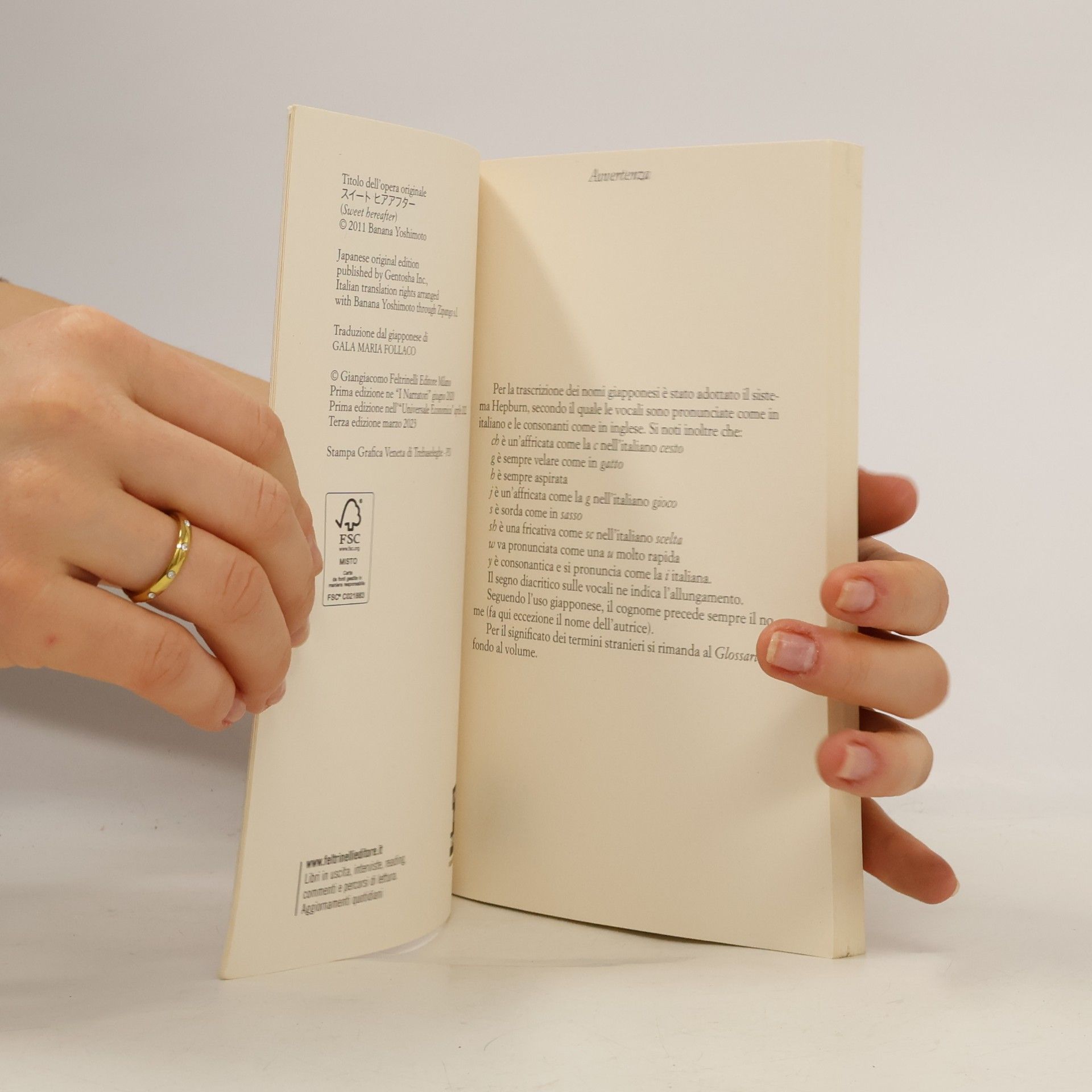 Banana Yoshimoto Il dolce domani